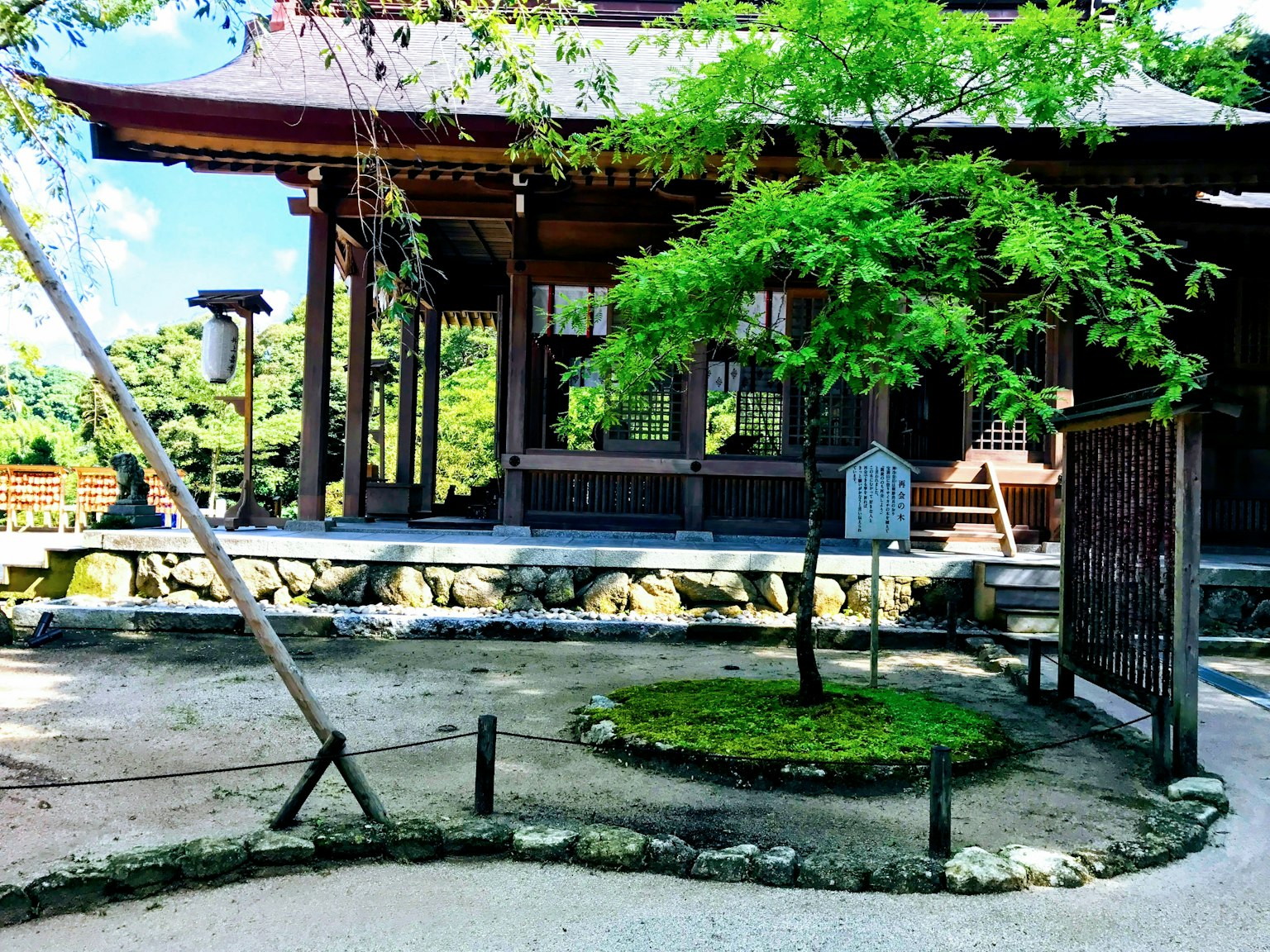 Wooden temple with a green tree in a serene garden