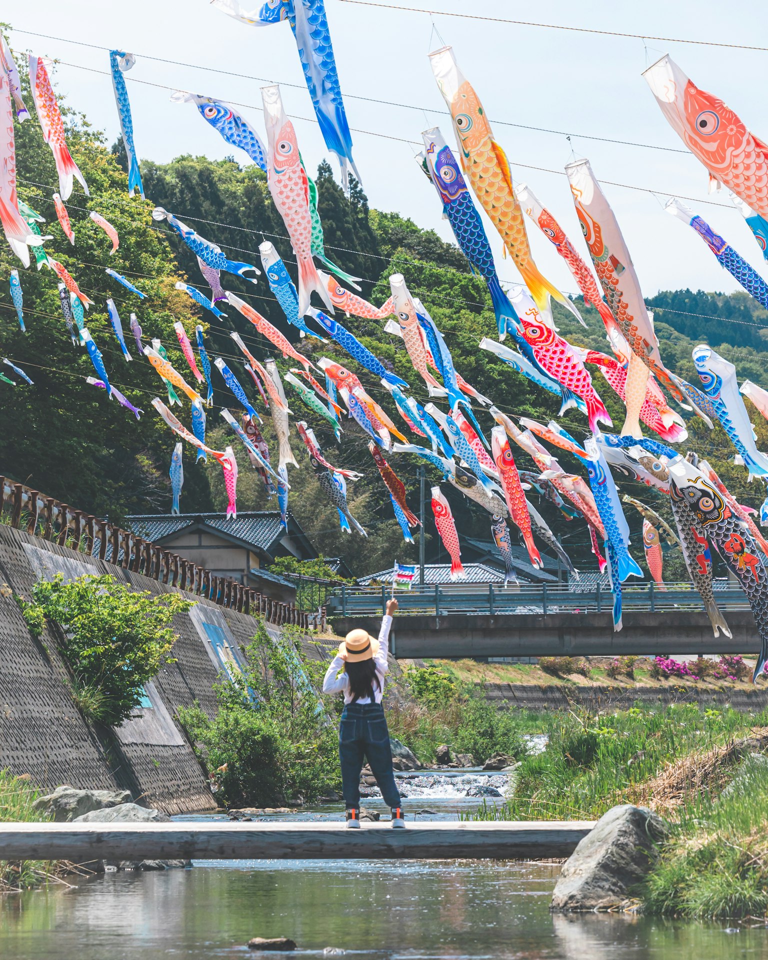 Seorang anak berdiri di jembatan dengan bendera koi nobori berwarna-warni berkibar di angin