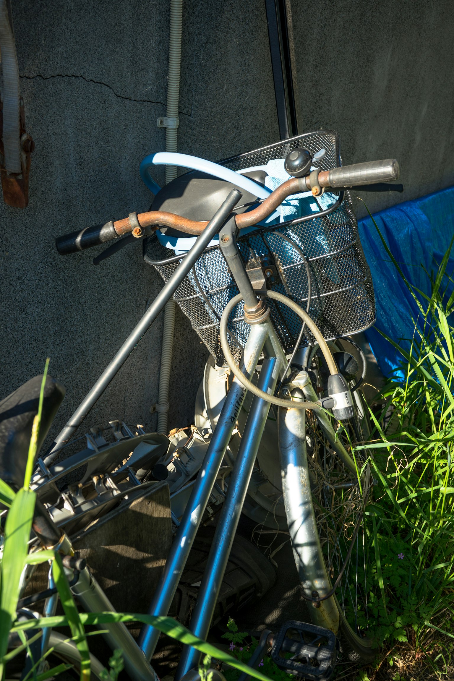 Una bicicleta azul parcialmente oculta en la hierba