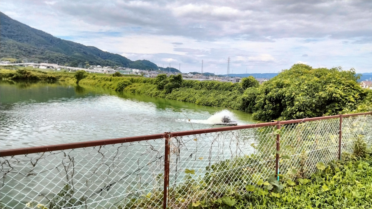 Paesaggio di fiume sereno con una vecchia recinzione