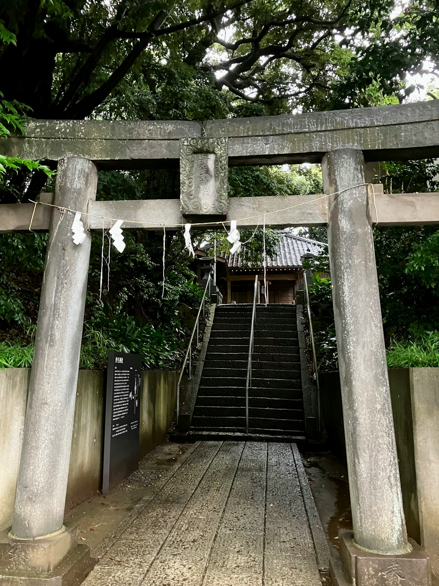 Gerbang torii batu yang mengarah ke tangga di lingkungan yang subur