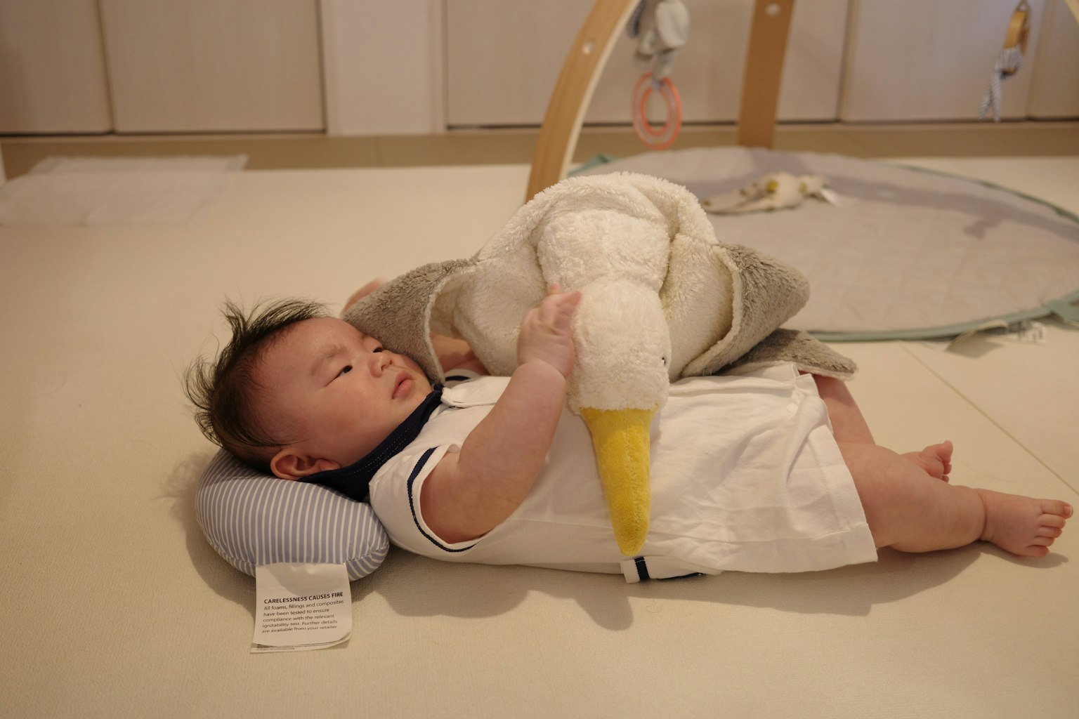 赤ちゃんが白いアヒルのぬいぐるみを抱いている様子