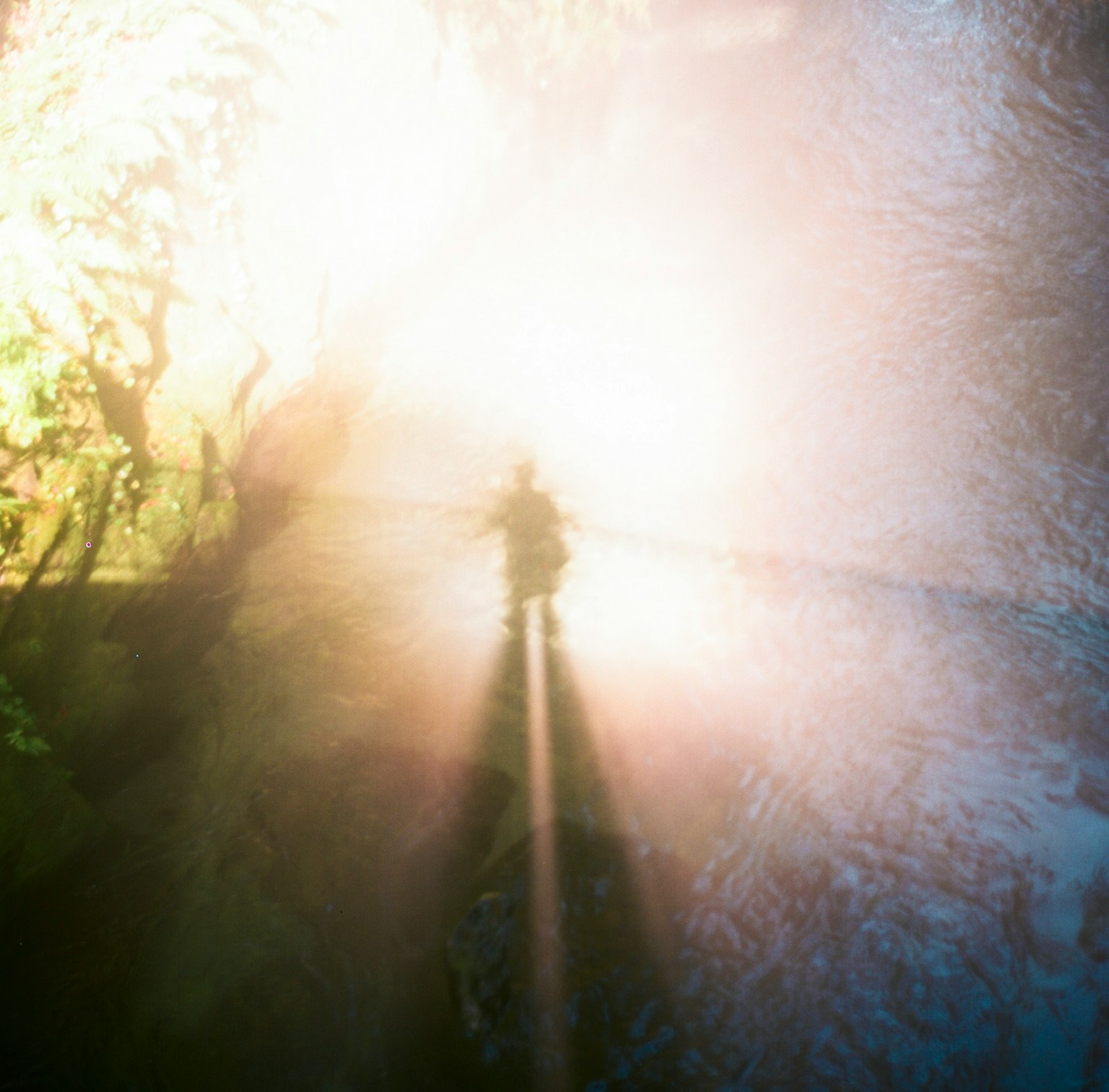 光が差し込む川の上に立つ影