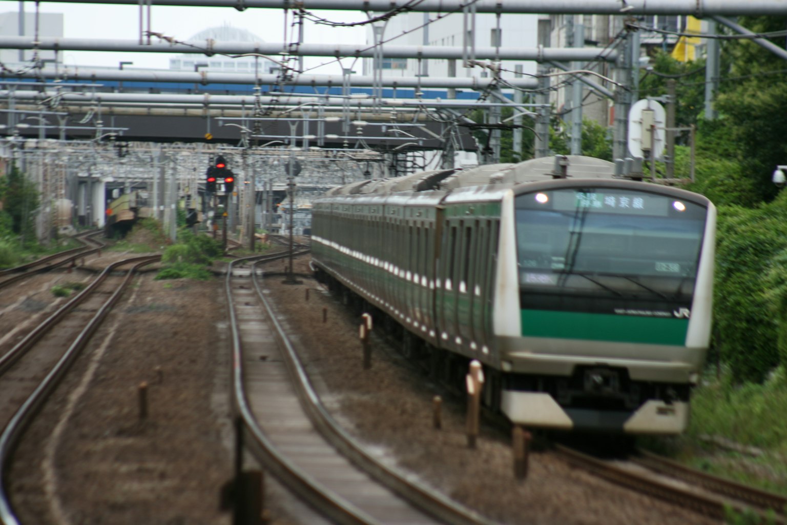 Un treno verde che viaggia lungo i binari
