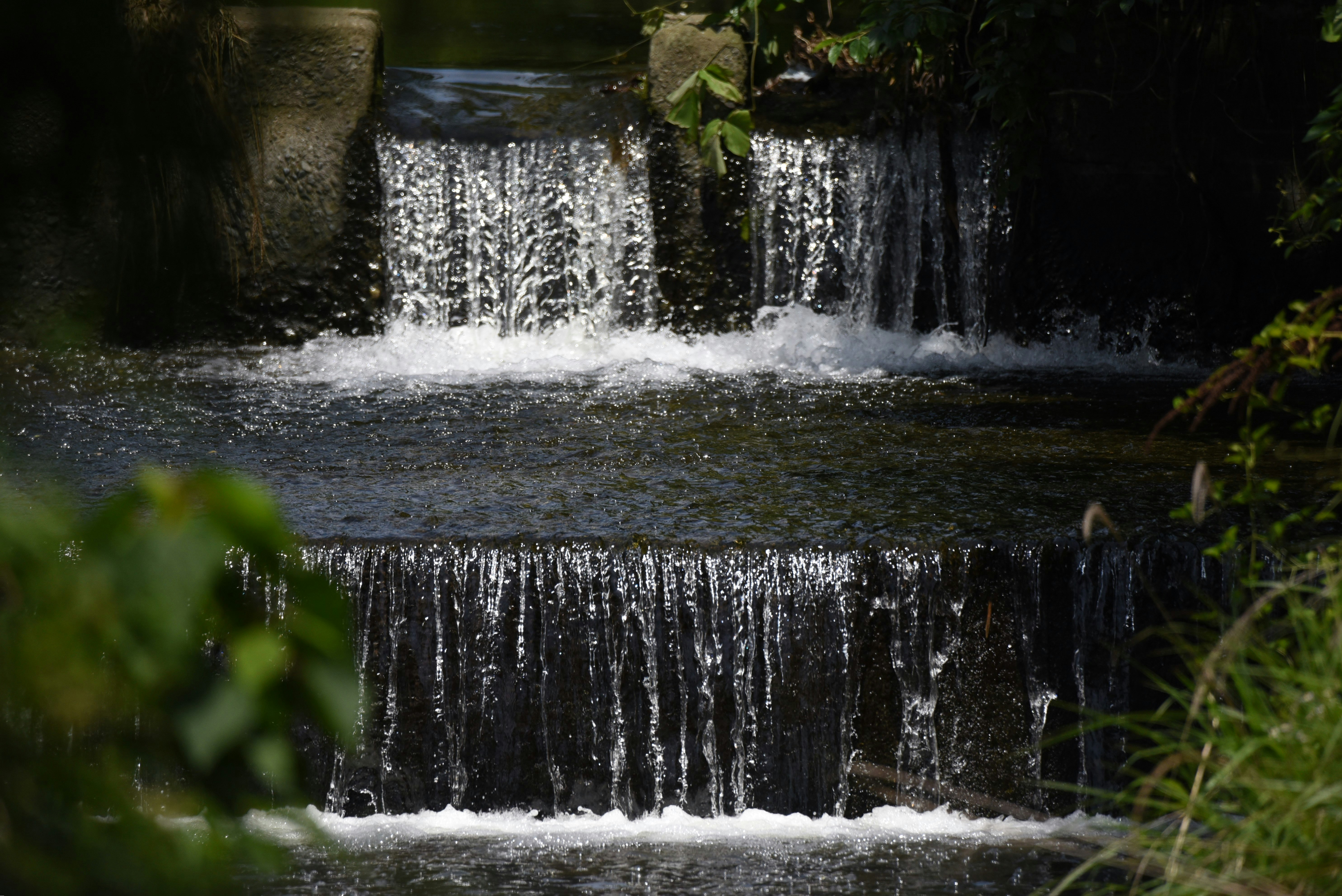 小さな滝が流れる苔むした水辺の風景