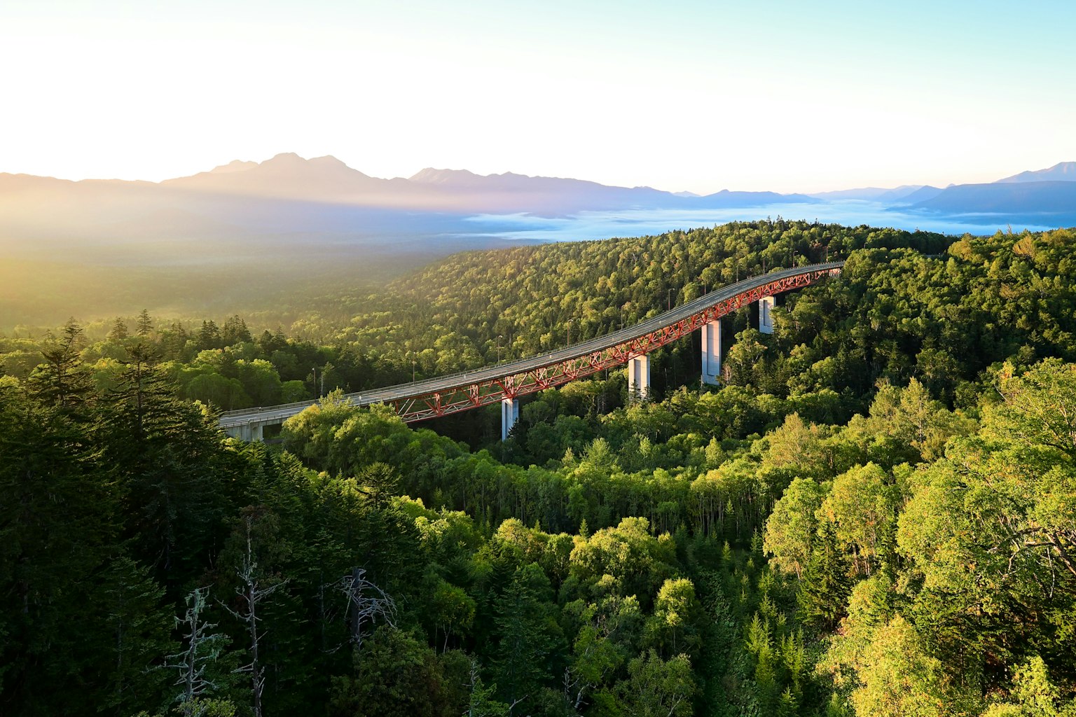 Vue pittoresque d'un viaduc entouré de forêts verdoyantes et de montagnes