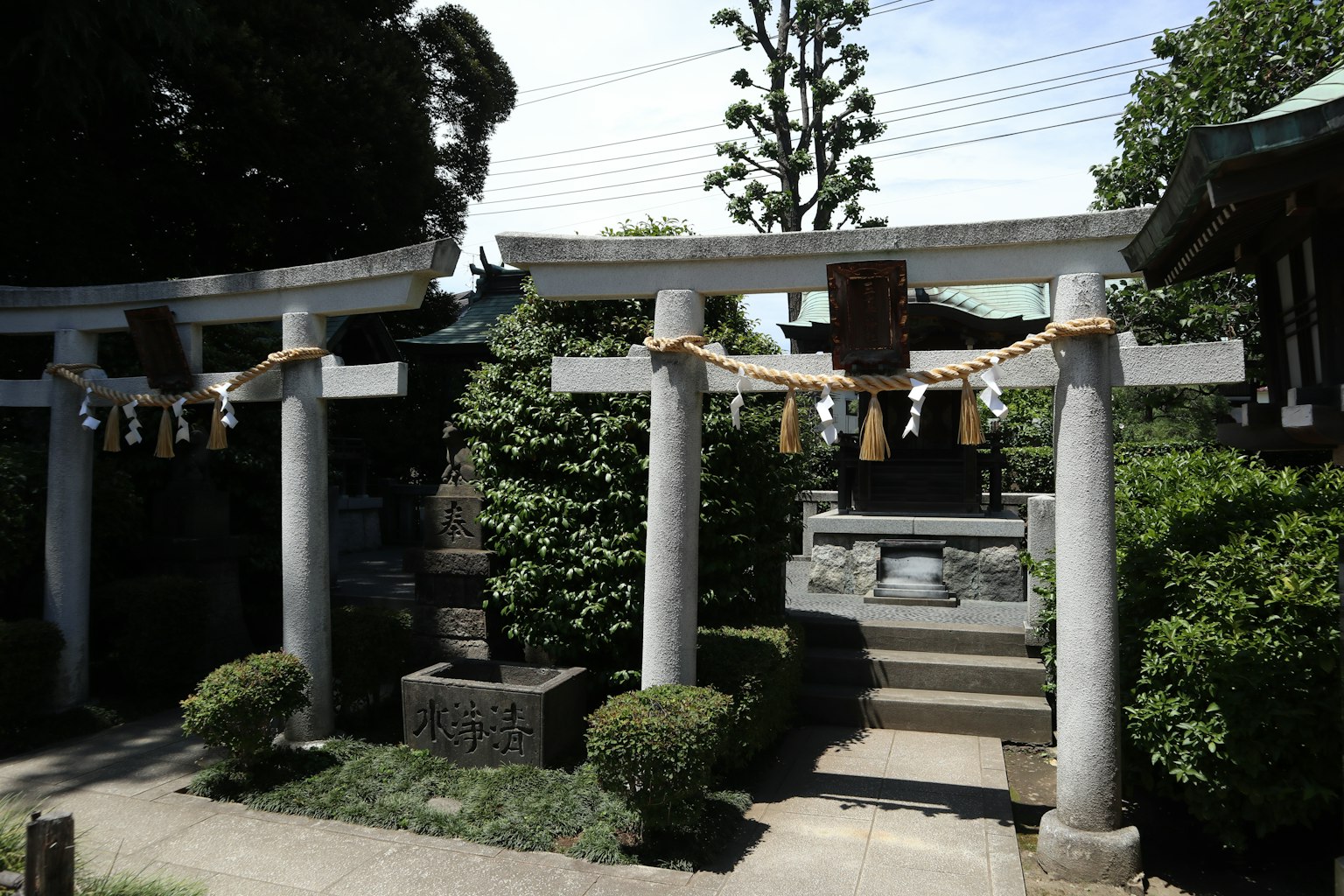 神社的鳥居靜謐的景觀被綠植和石階環繞