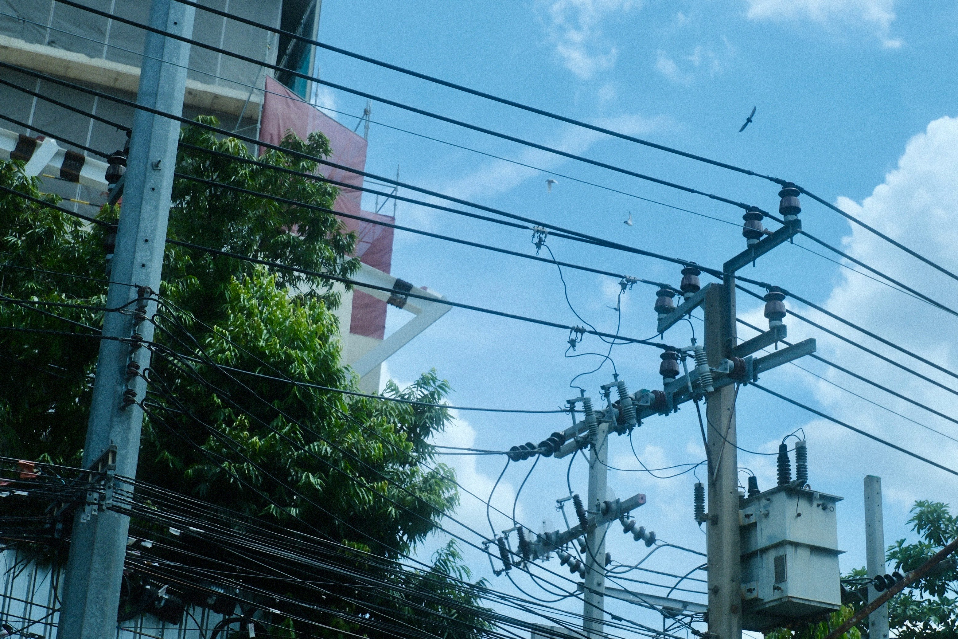 電線と電柱が張り巡らされた街の空