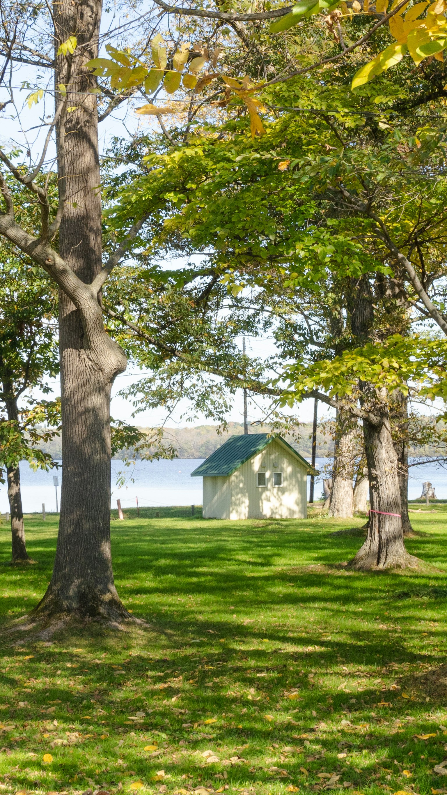 Un paysage serein avec de l'herbe verte et des arbres, avec un petit abri blanc