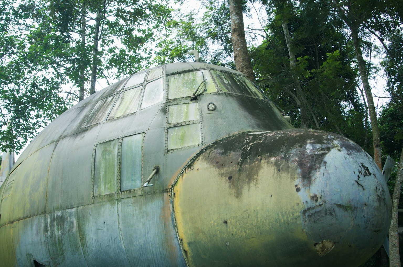 Nase eines alten Flugzeugs umgeben von grünen Bäumen Rostiges Metall und beschlagene Fenster