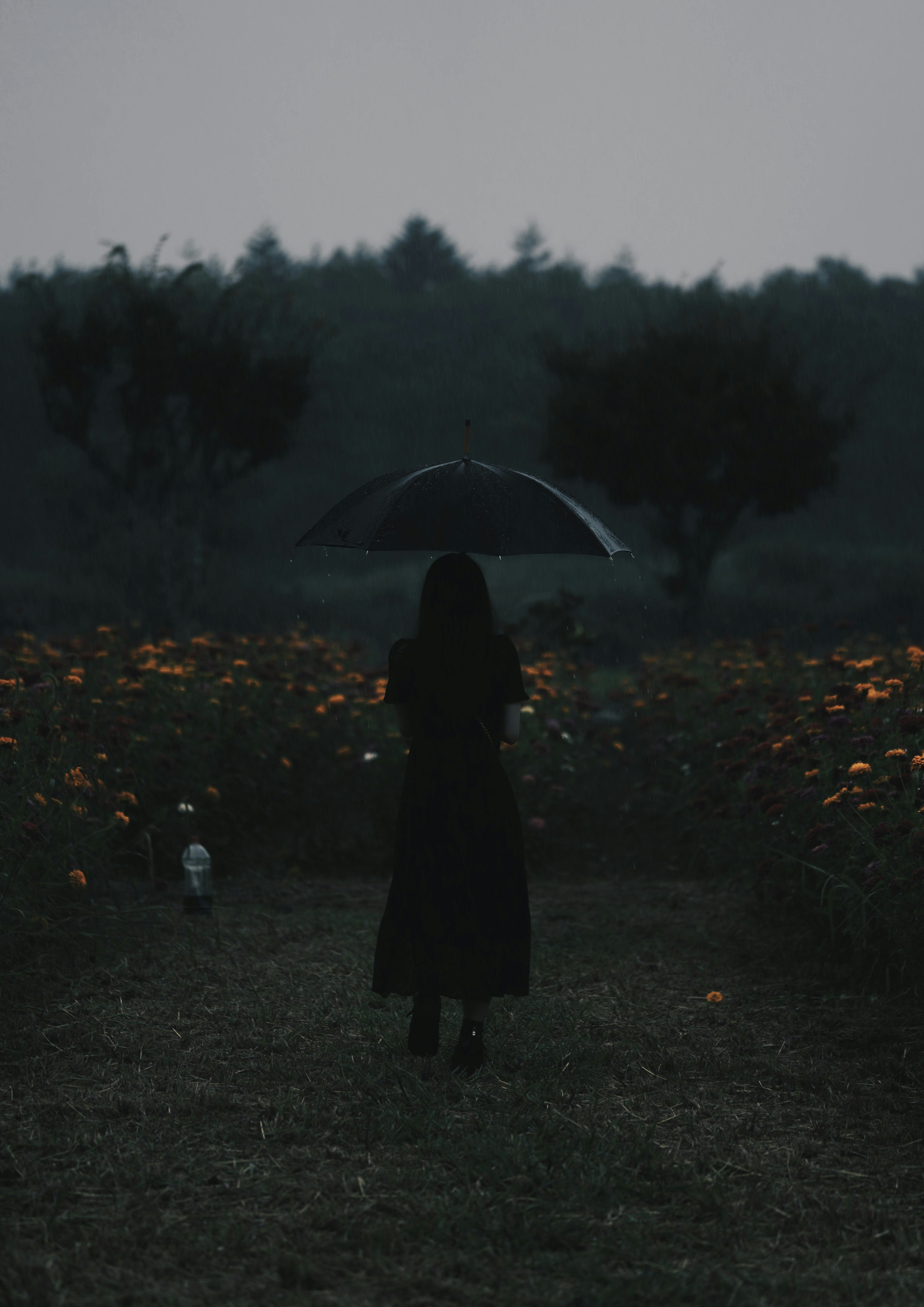 雨傘をさした人物が夕暮れの草地を歩く