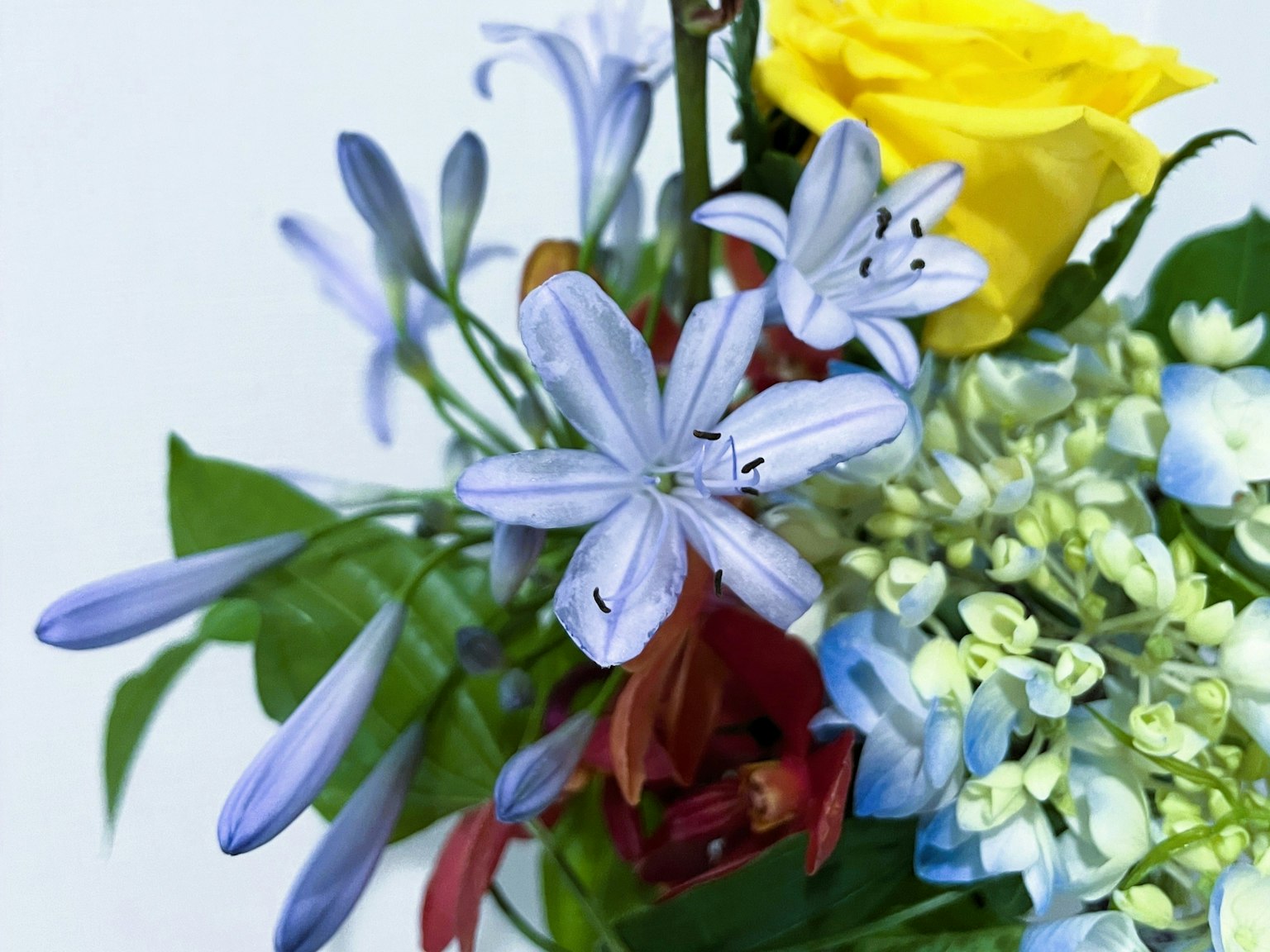 Bouquet avec des fleurs bleues et une rose jaune