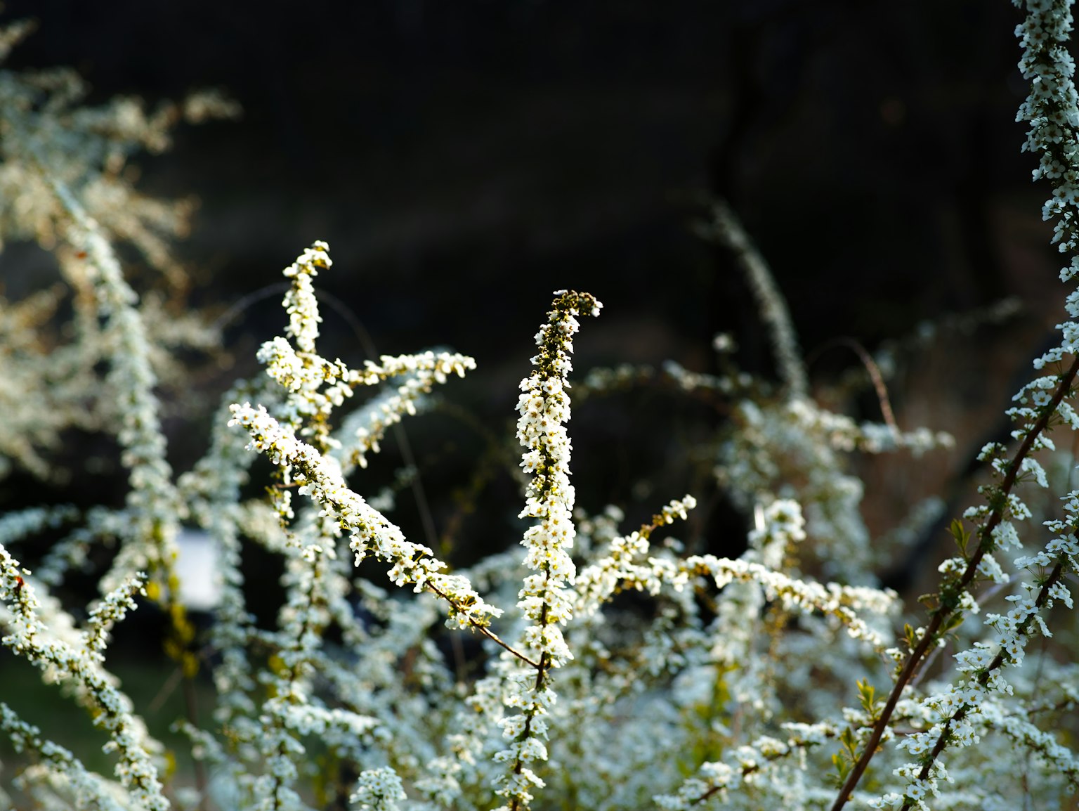 photo-gr9HSAh1o77QUDtZQ3KP-image