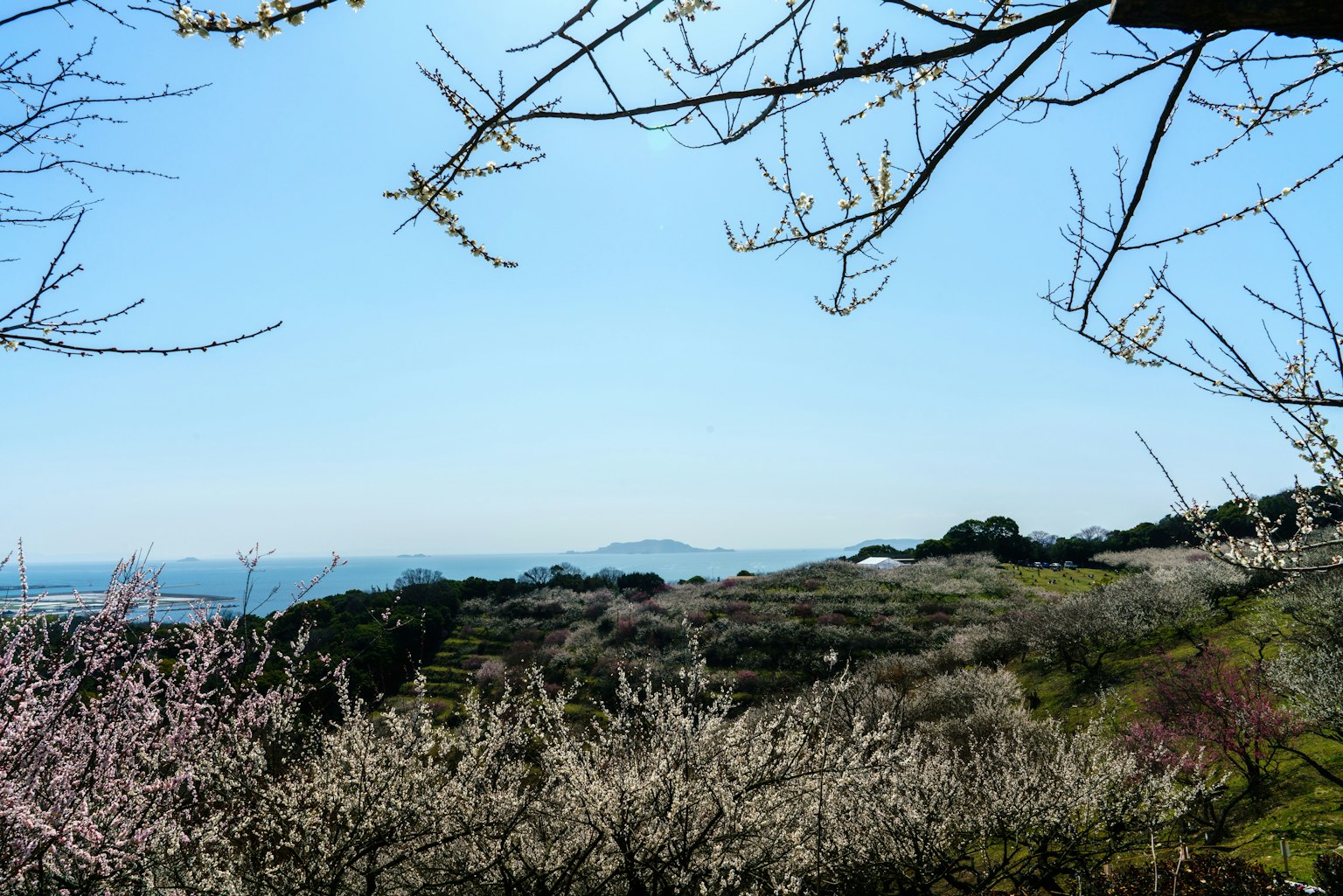 photo-grA7LLkx4cmdqP1o2iBy-image