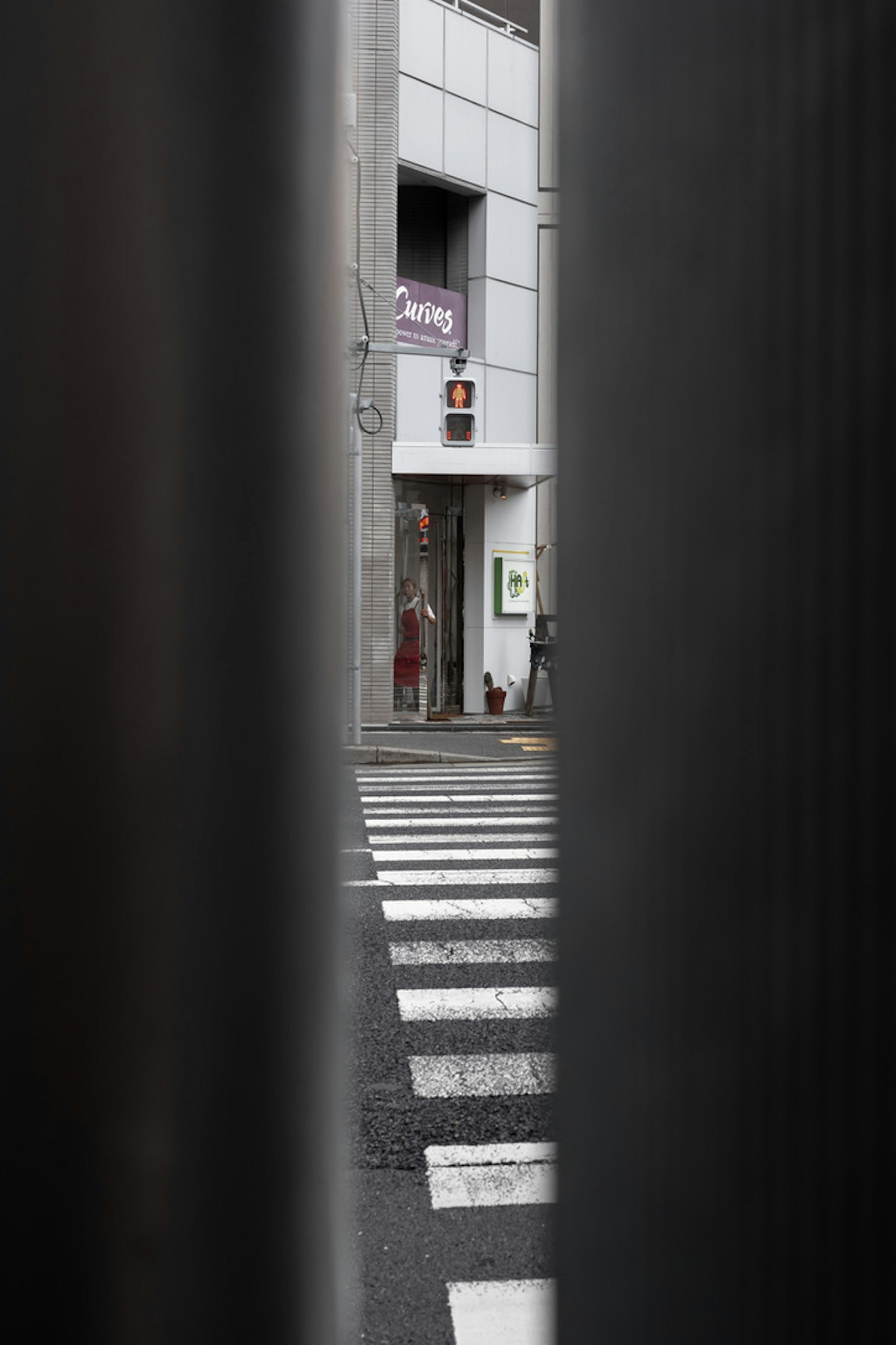 可见人行横道的商店外观