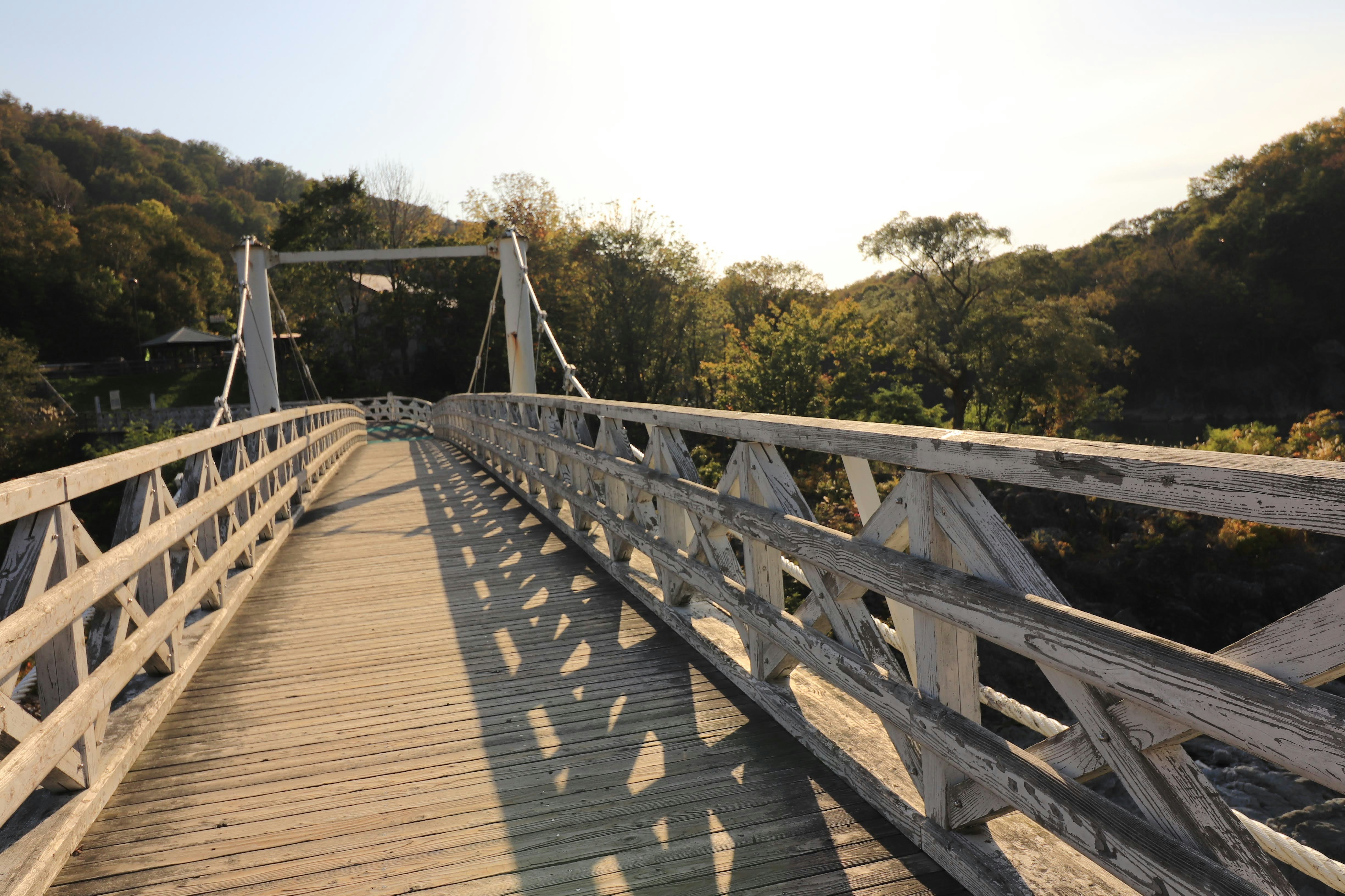 jembatan papan kayu panjang di tengah hutan