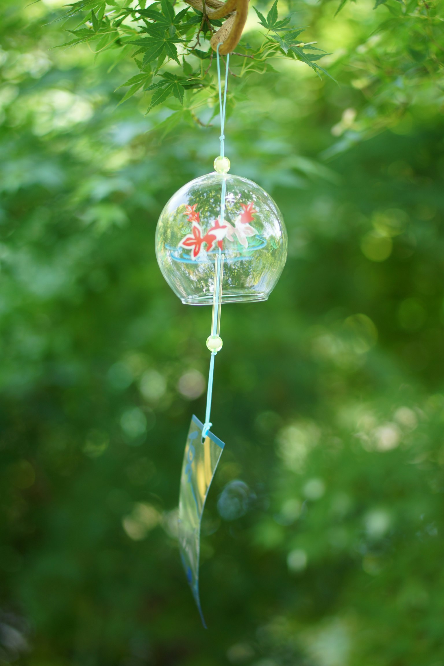 Un campanello trasparente appeso nel fogliame verde con un design floreale colorato