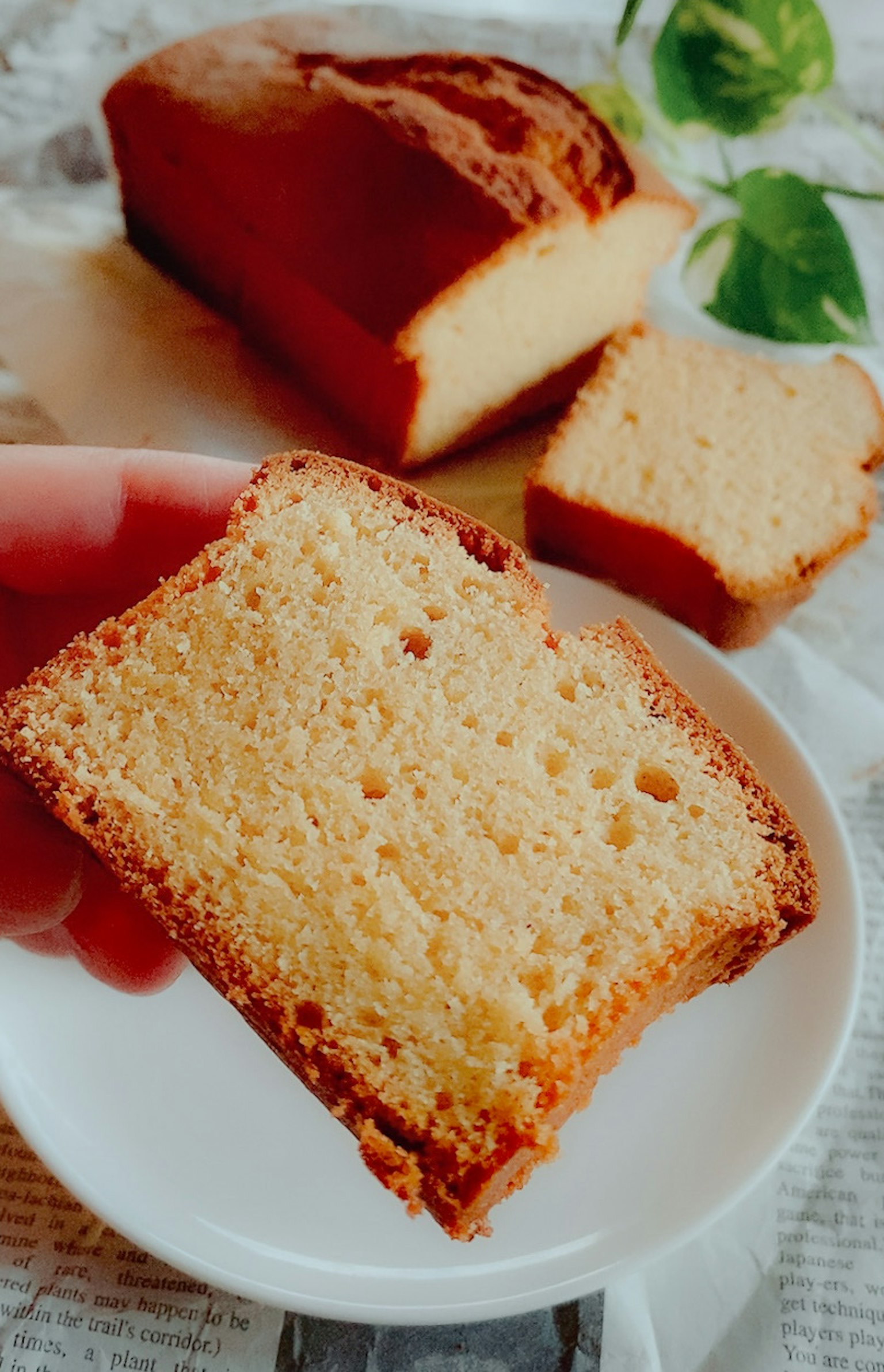 Slice of freshly baked bread on a white plate