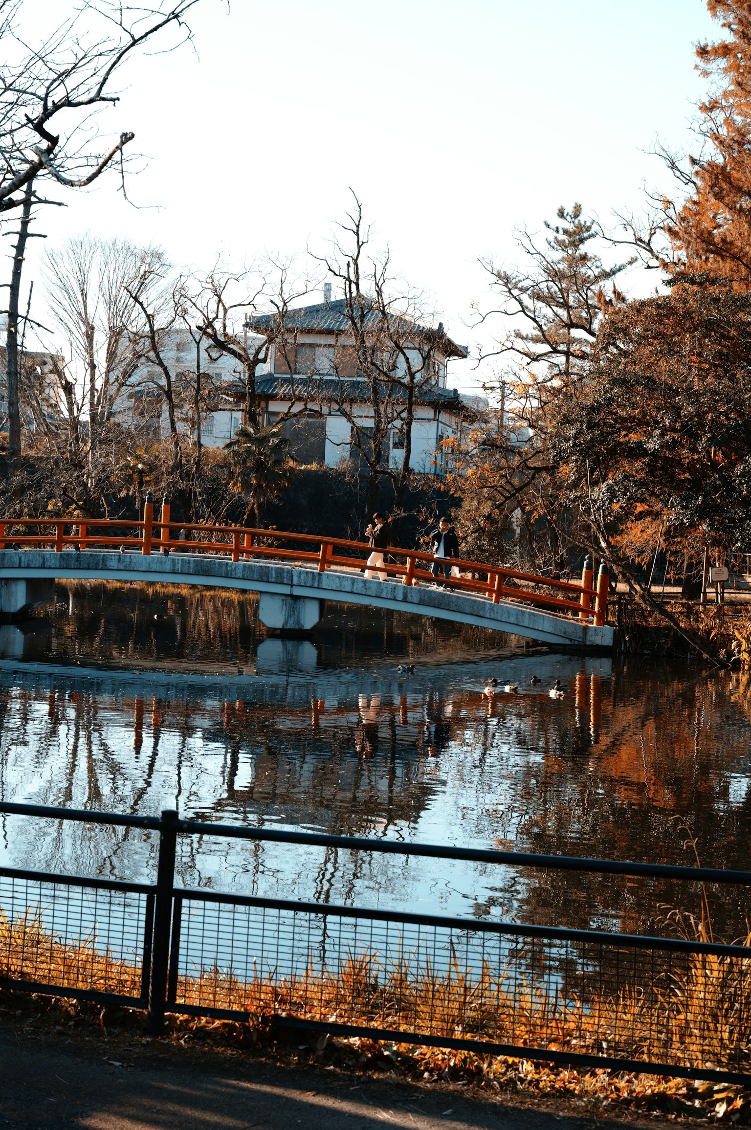 photo-gtDv6I7E2UbJUr7Ntnco-image