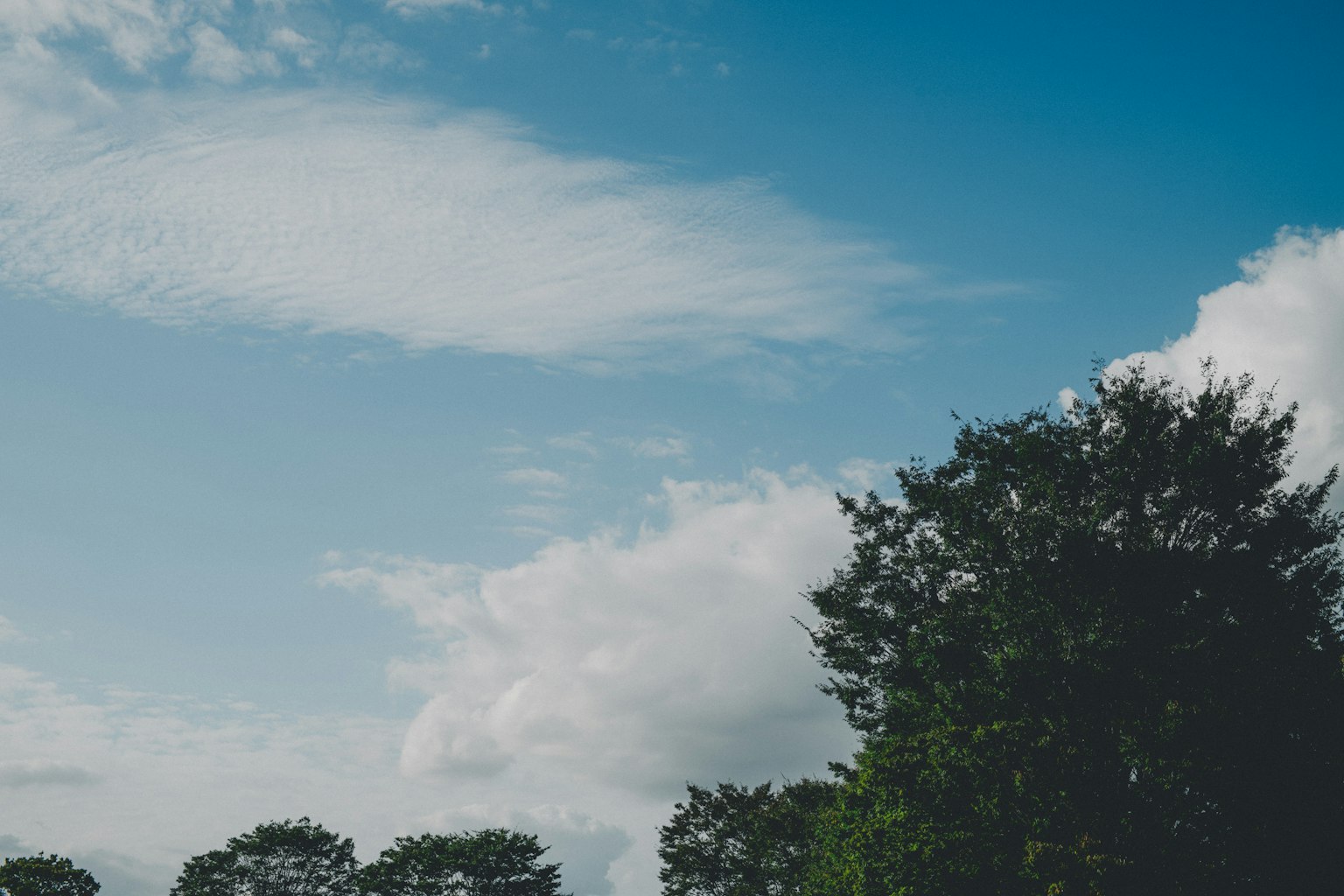A landscape with blue sky and white clouds featuring green trees