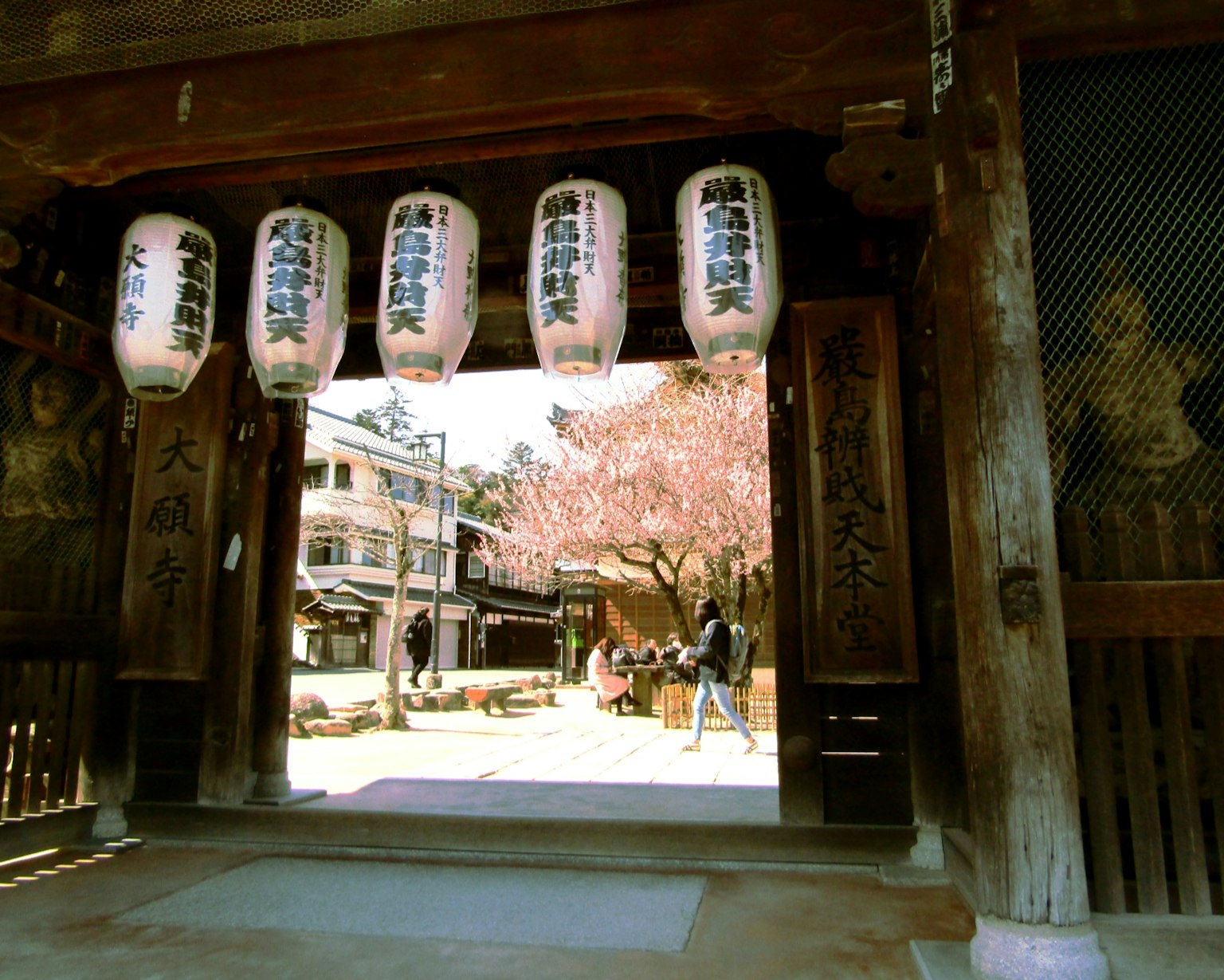 Puerta japonesa tradicional con faroles colgantes y árbol de cerezo