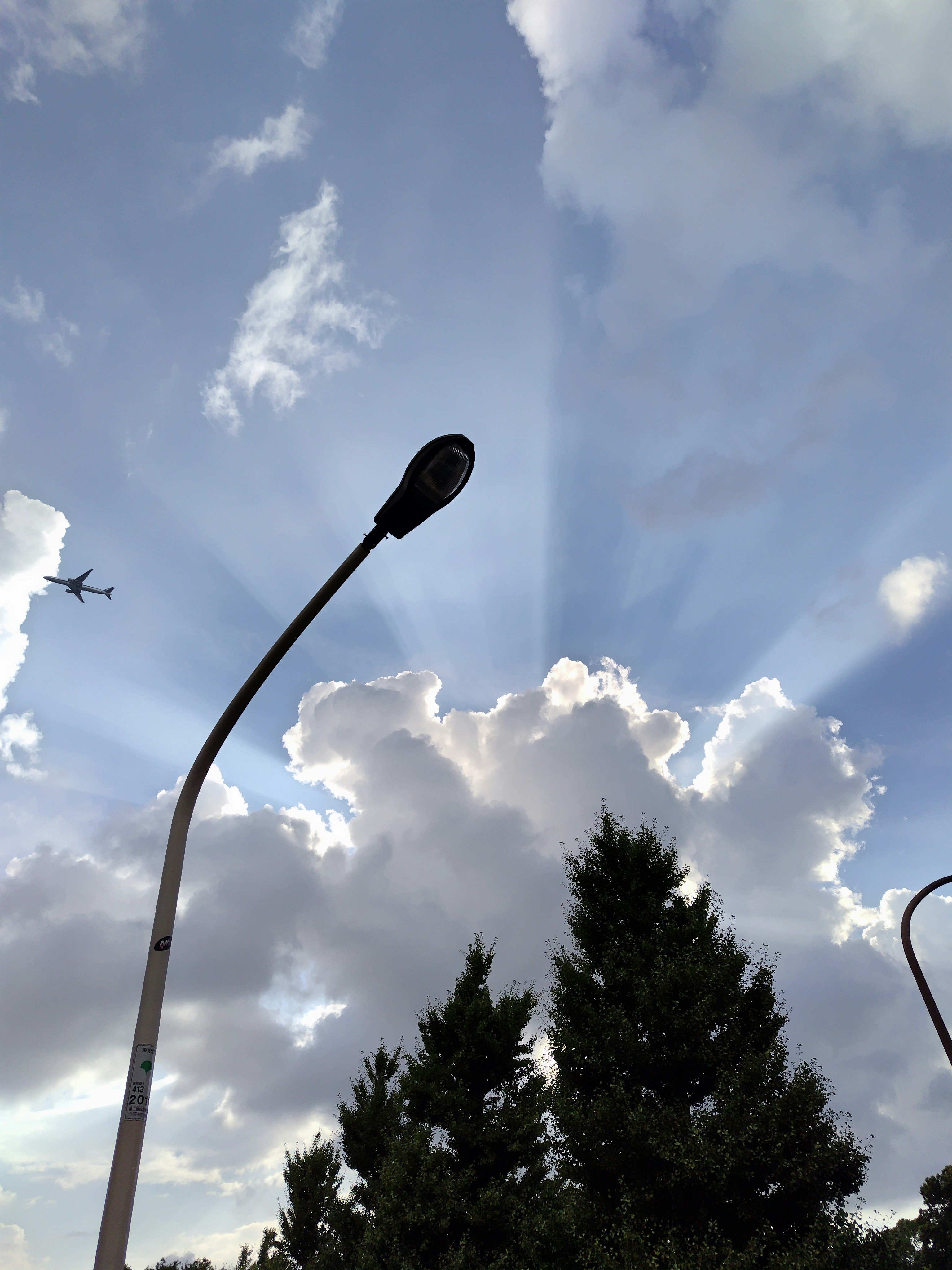 青空の下の街灯と飛行機雲
