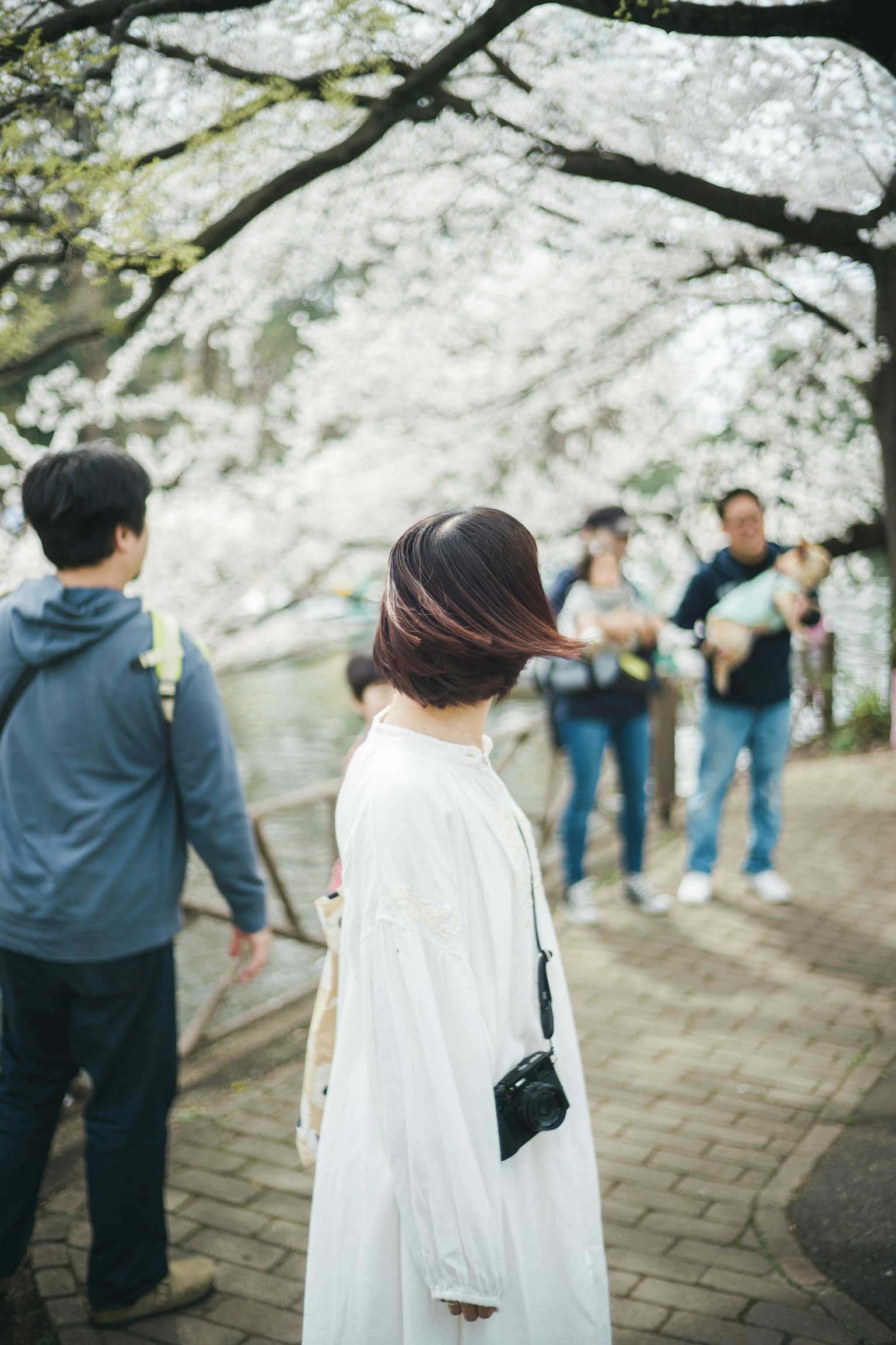 A woman in a white dress turns around under cherry blossom trees with other people in the background