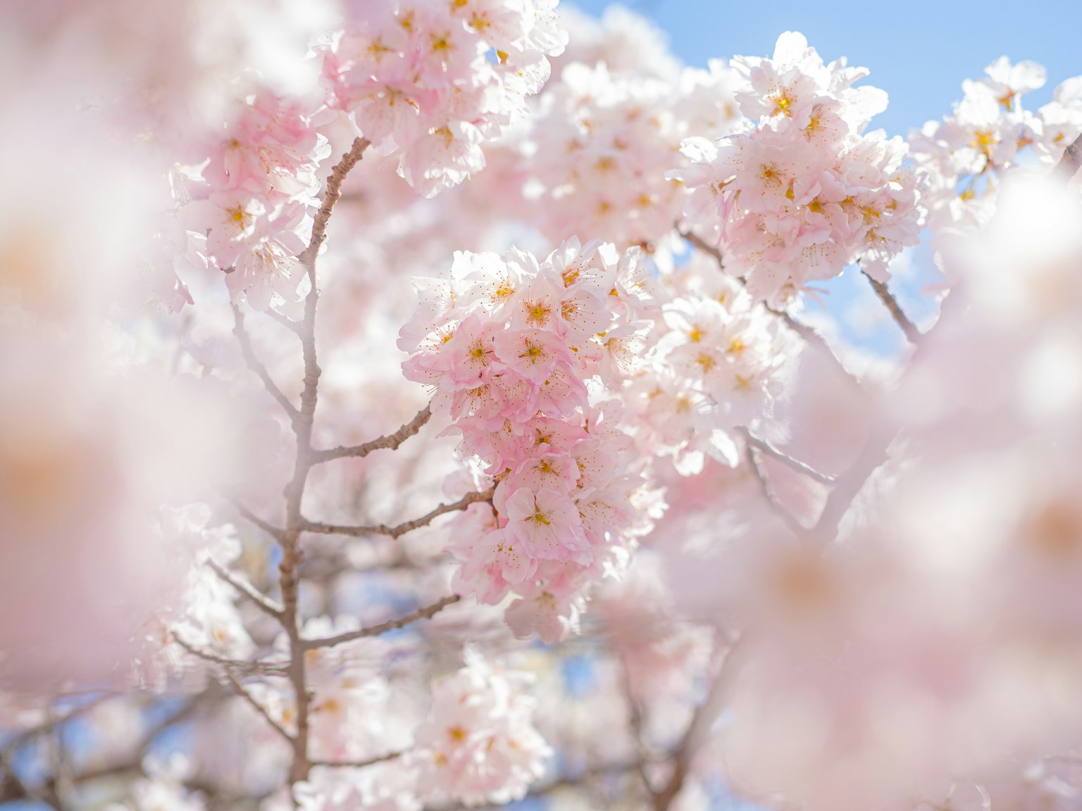 photo-gwGsJCR82uI3yLv4GicR-image