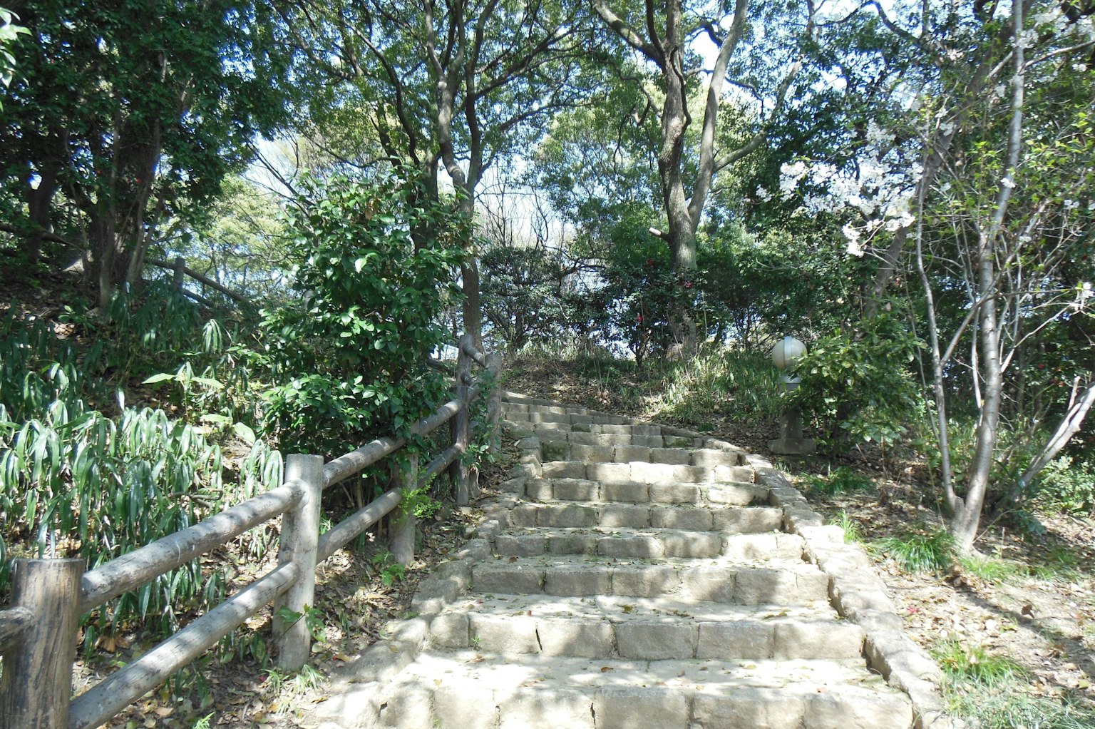 Escaleras de piedra que conducen a un paisaje verde con árboles