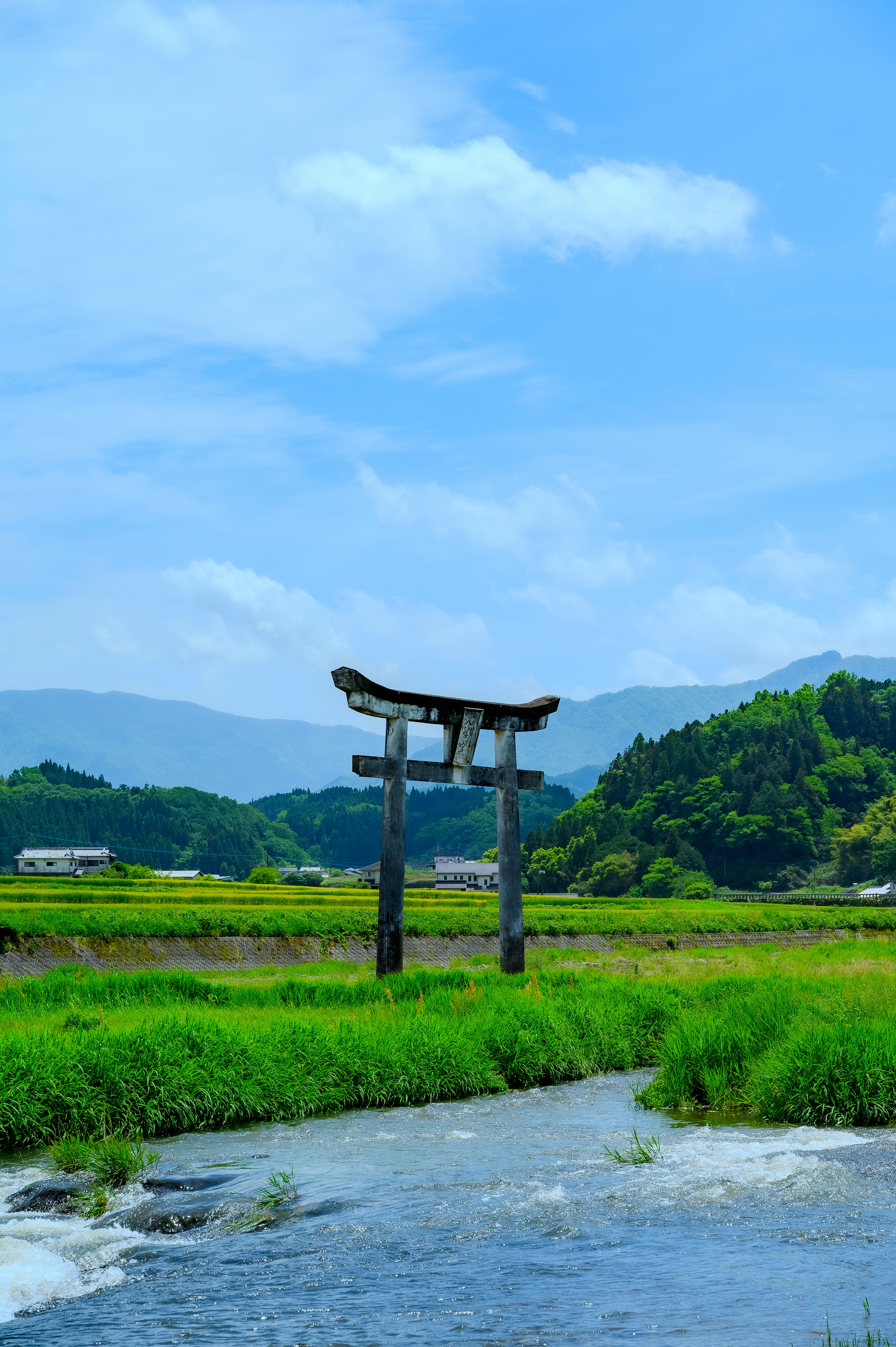 川沿いの田園風景と鳥居のある風景