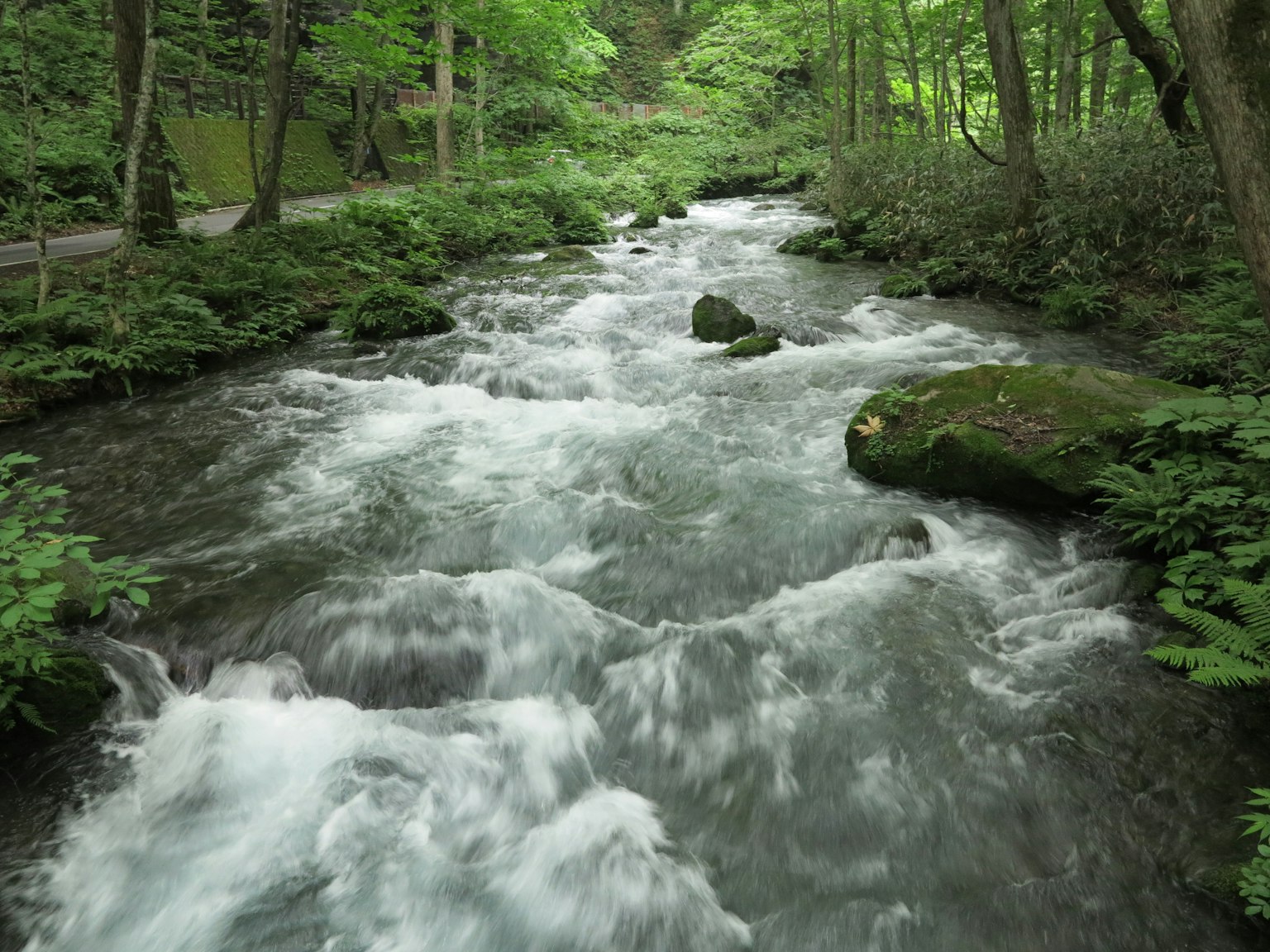 Ruisseau clair coulant à travers une forêt verdoyante avec des rochers