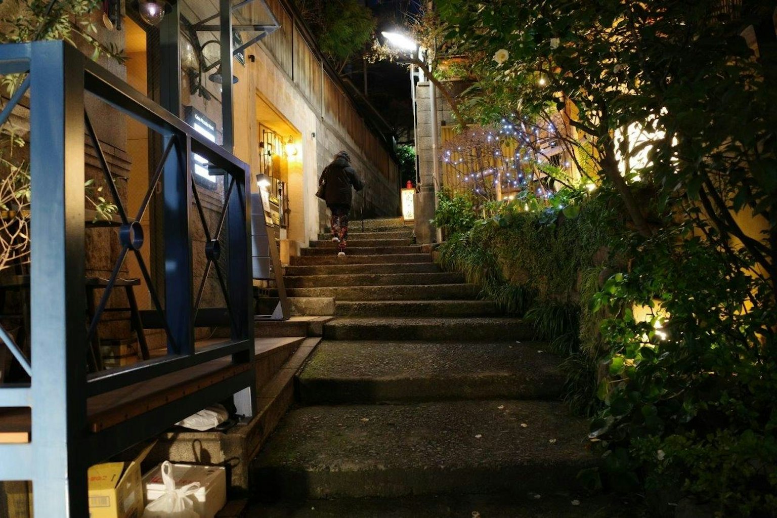 夜間樓梯的景觀，周圍有綠植和柔和的燈光