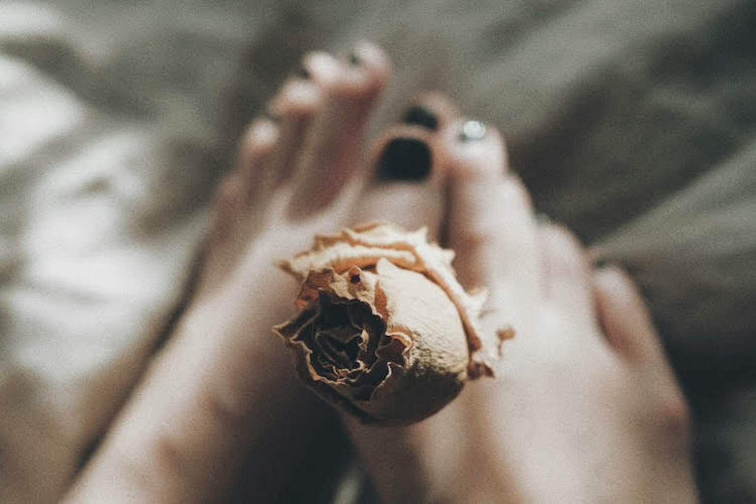 Chân sơn móng tối màu và một bông hồng khô ở trên