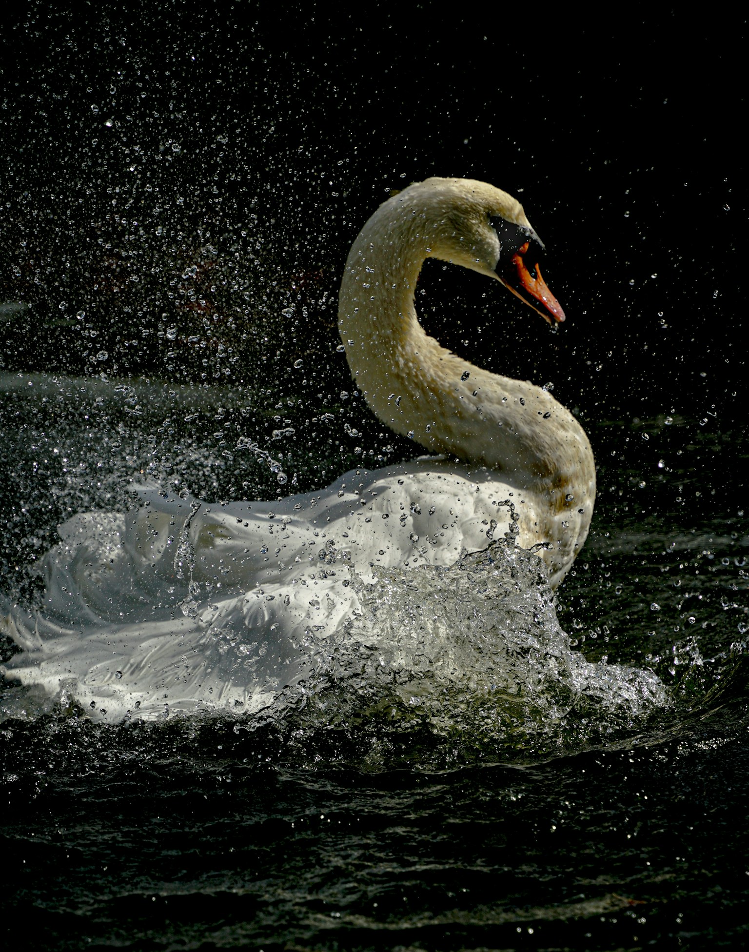 photo-gzFaI8510q6etu8aeIdS-image