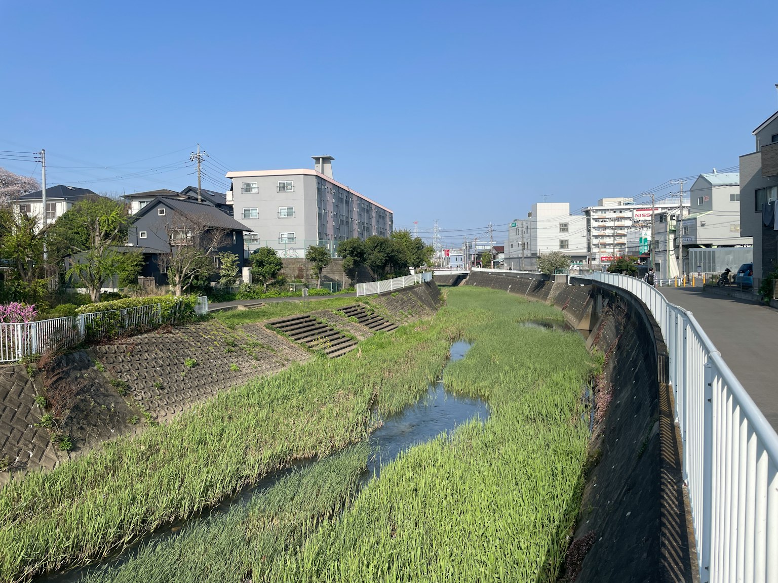 Pemandangan sungai tenang dengan rumput hijau dan gedung perumahan di dekatnya di bawah langit biru yang cerah