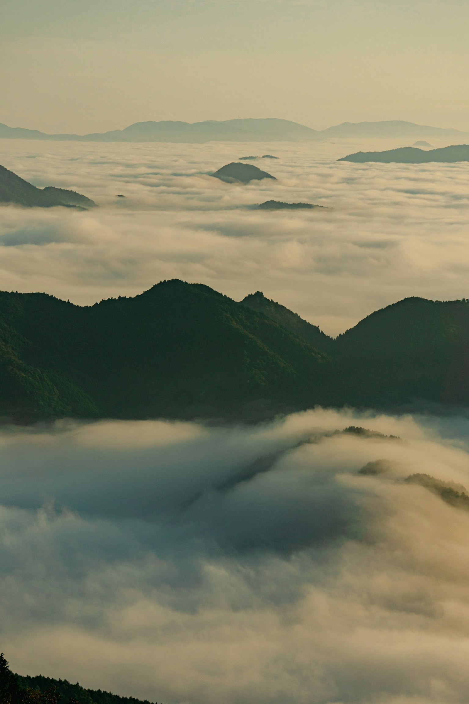 被云海覆盖的山脉风景