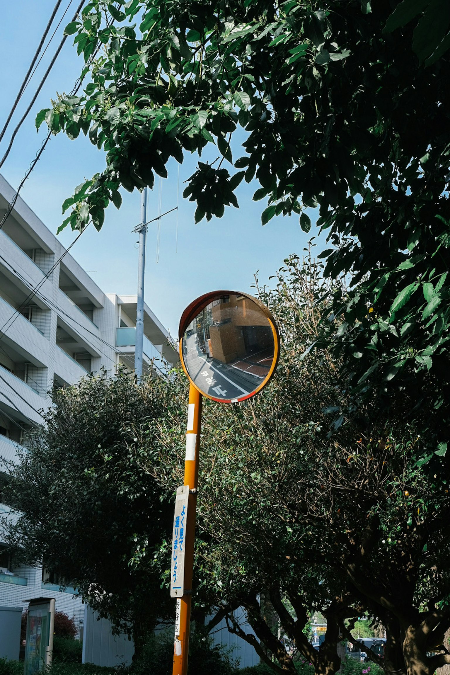 Roadside mirror surrounded by trees and buildings