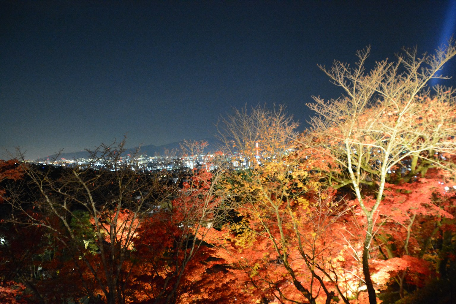 夜間城市景觀與秋季樹葉