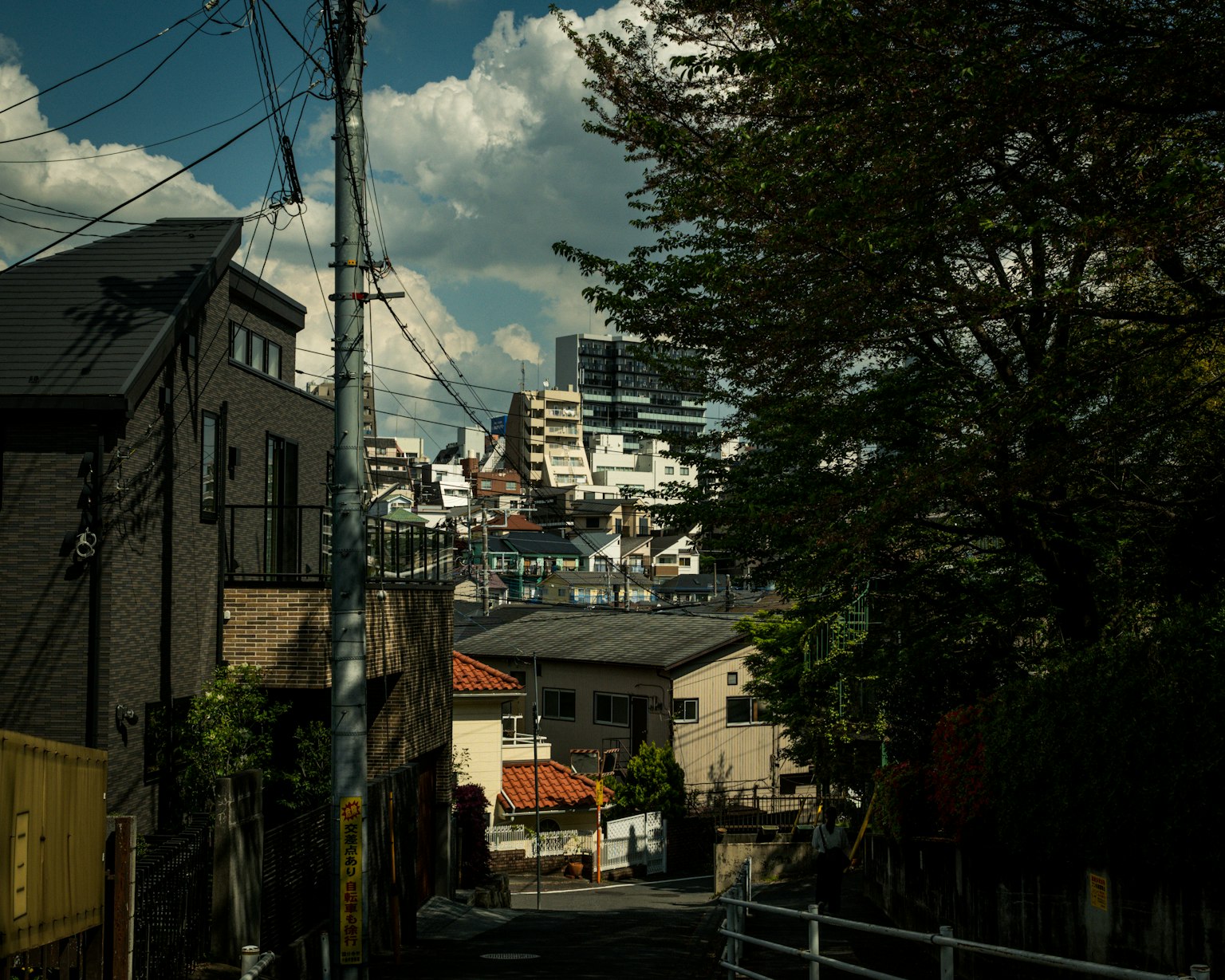城市景觀展示了寧靜街道與高樓之間的對比