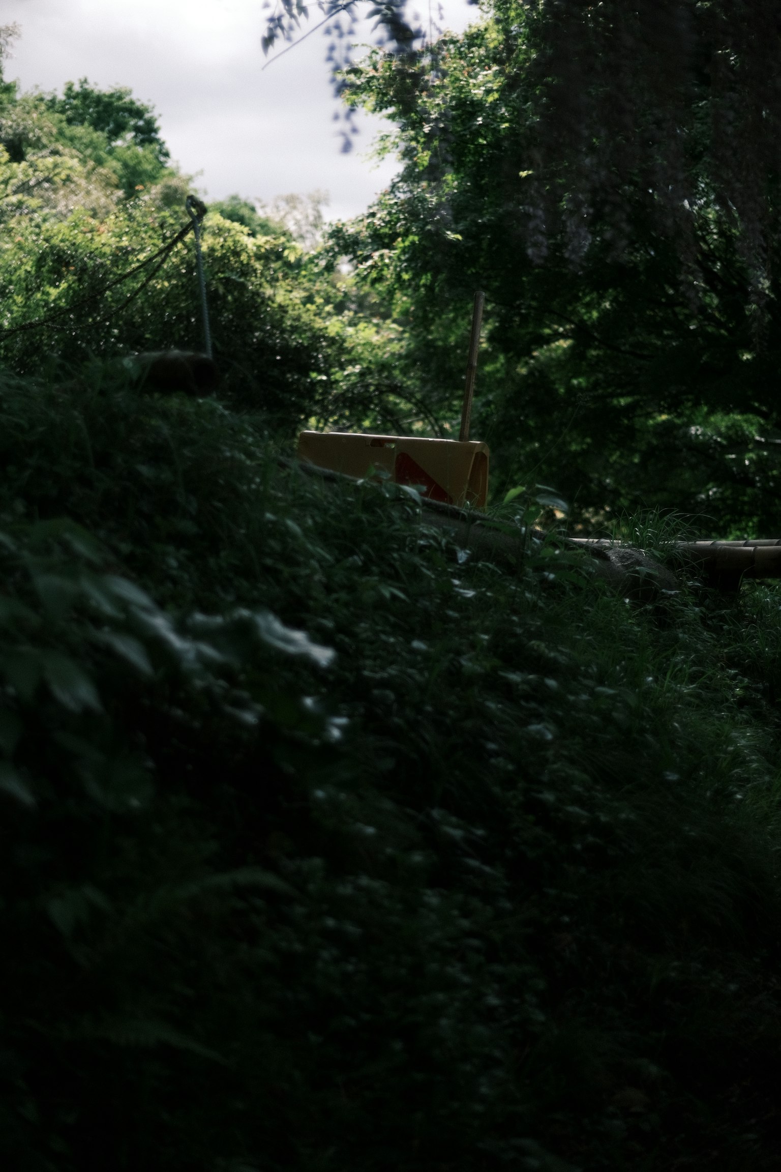 photo-h1HZGI02QXPujxVWH4OX-image