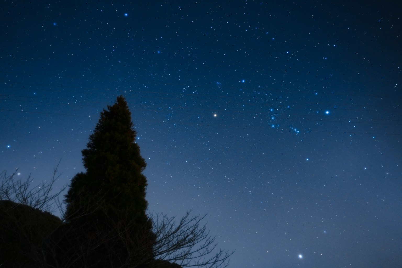 夜空に輝く星々とシルエットの木