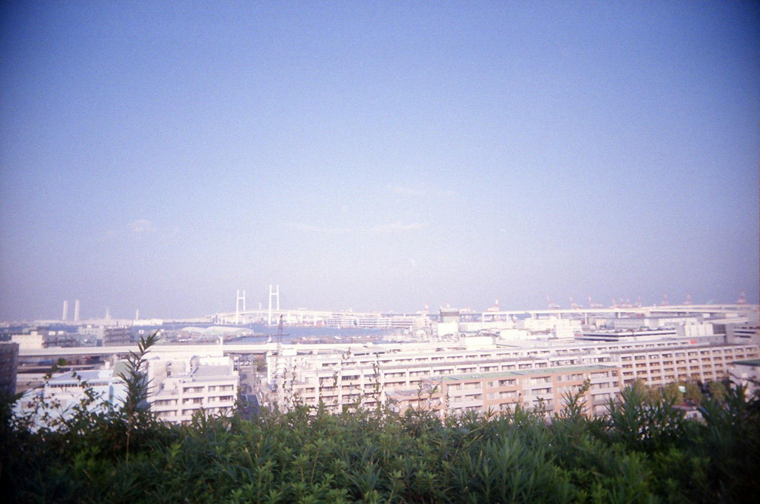 Urban landscape with buildings under a blue sky and green plants