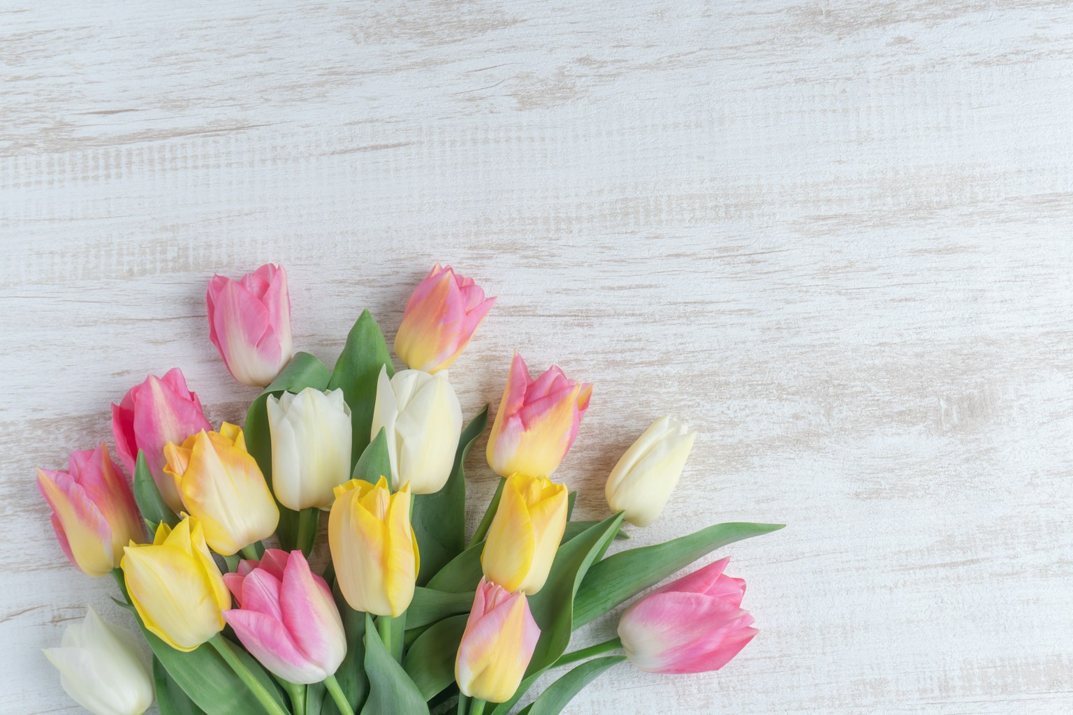 Tulip berwarna-warni disusun di atas meja kayu
