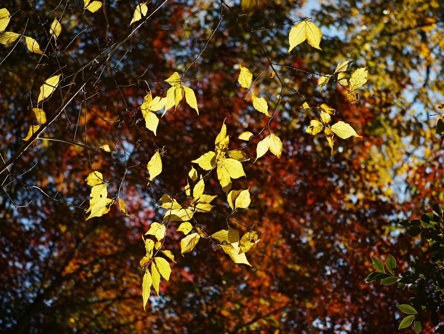 photo-h1vtX5wiDKxFsD6exKV8-image