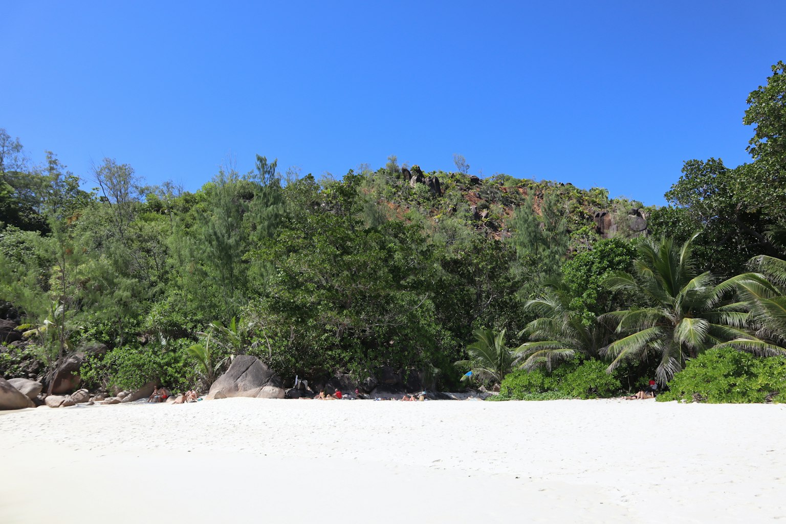 ทิวทัศน์ชายหาดที่มีทรายขาวและต้นไม้เขียวขจี