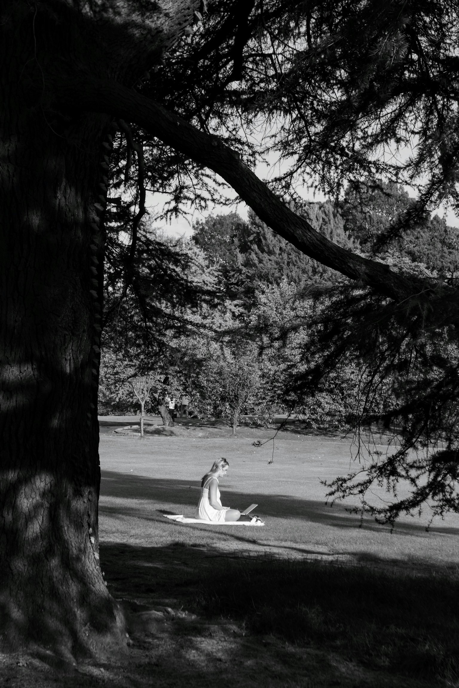 Profile of a woman sitting in a park in black and white