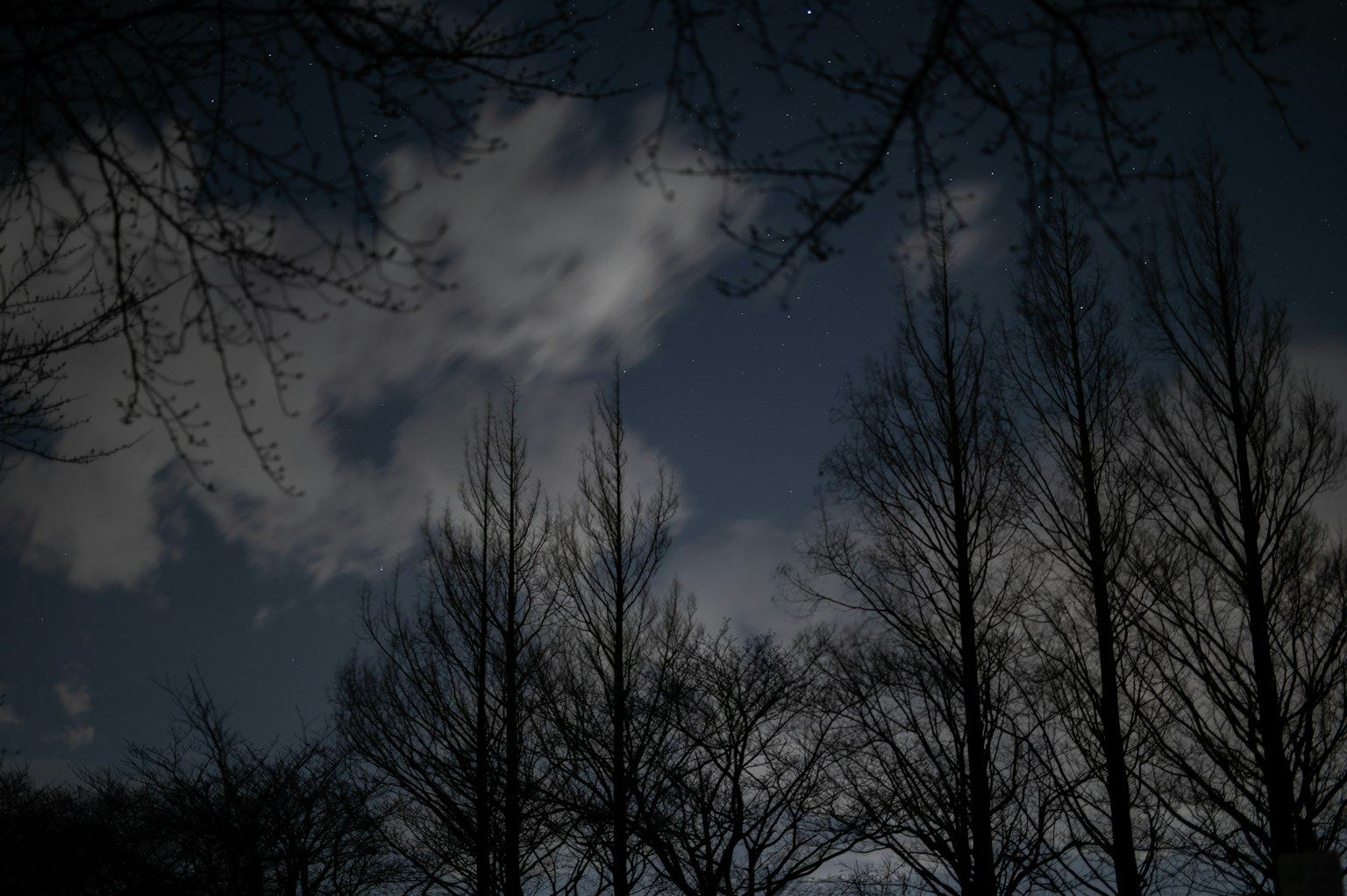 photo-h2XbFjXtL3iIrSM3AbWF-image