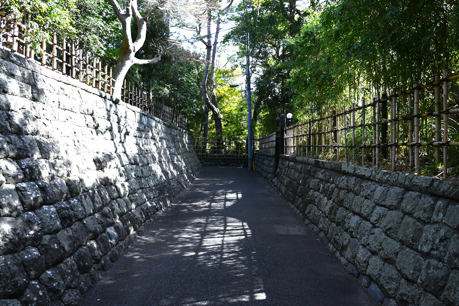 Stone pathway surrounded by lush greenery and trees