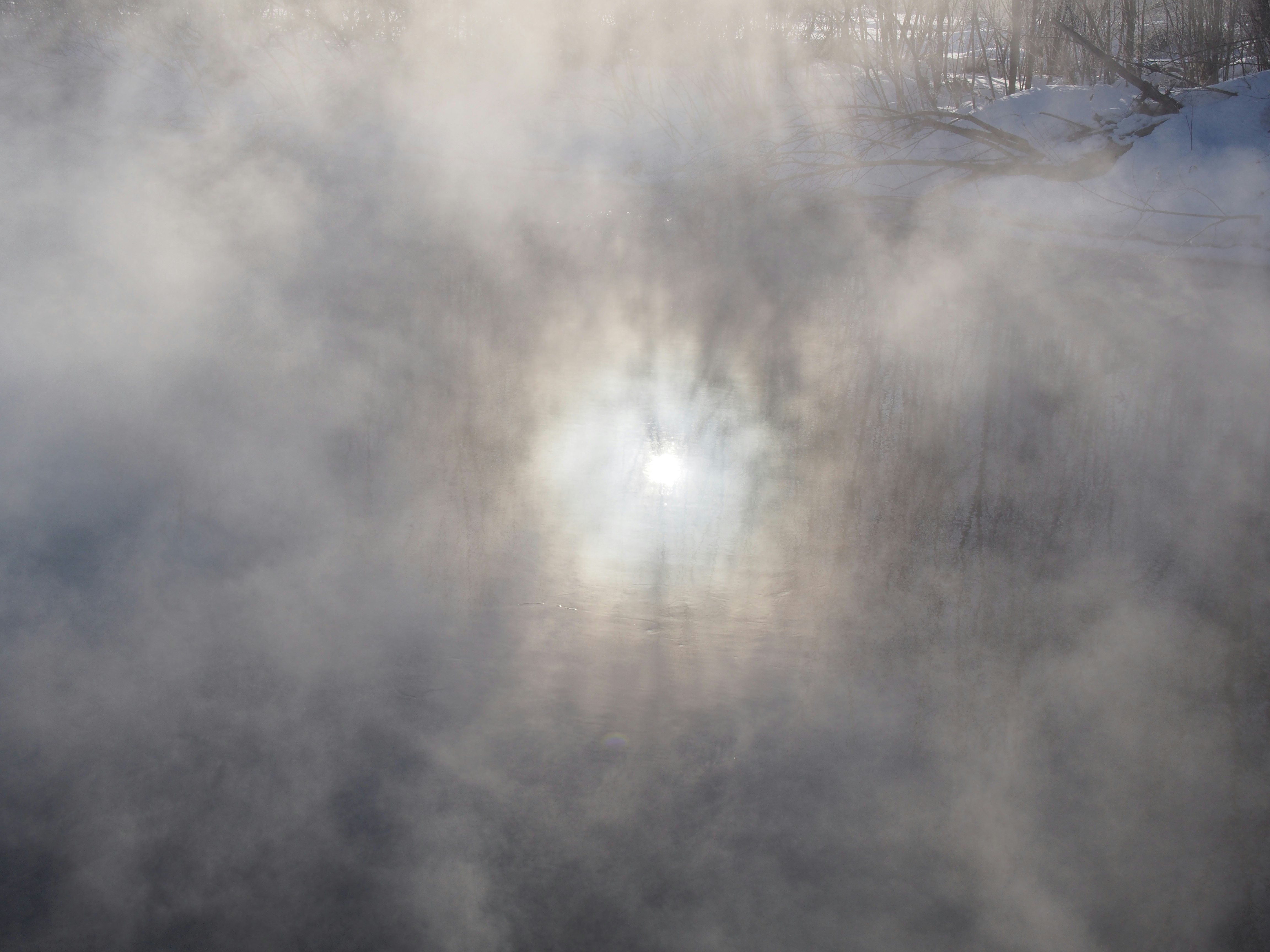 a sunlit path through dense fog in the woods