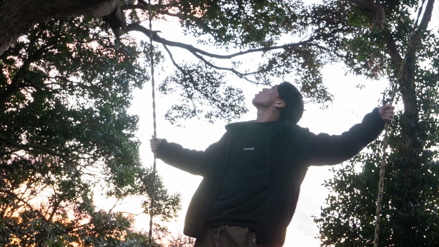 A man looking up at a tree branch with soft sunset light in the background